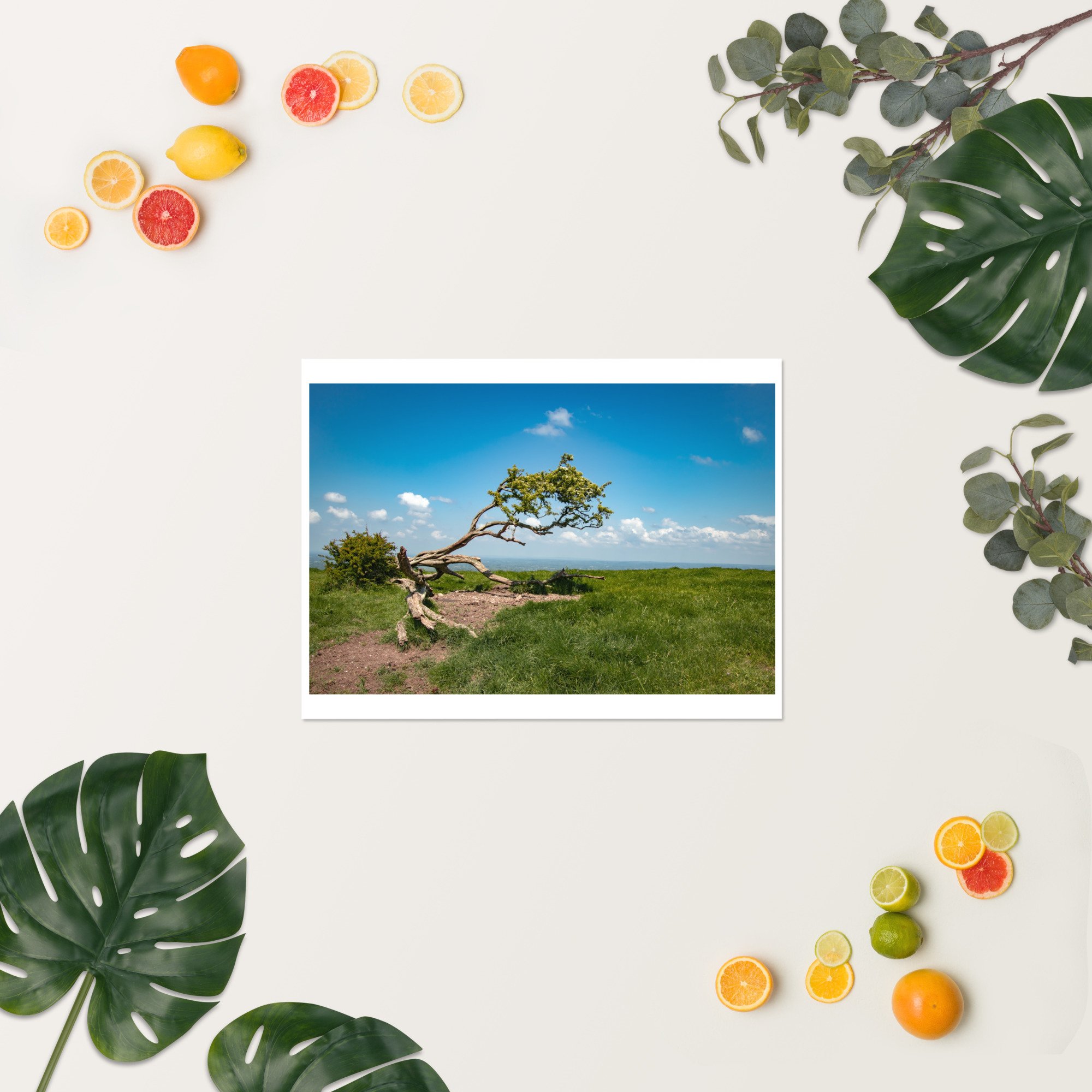 enhanced-matte-paper-poster-(in)-18x24-springsummer-652fa2d0f266e.jpg