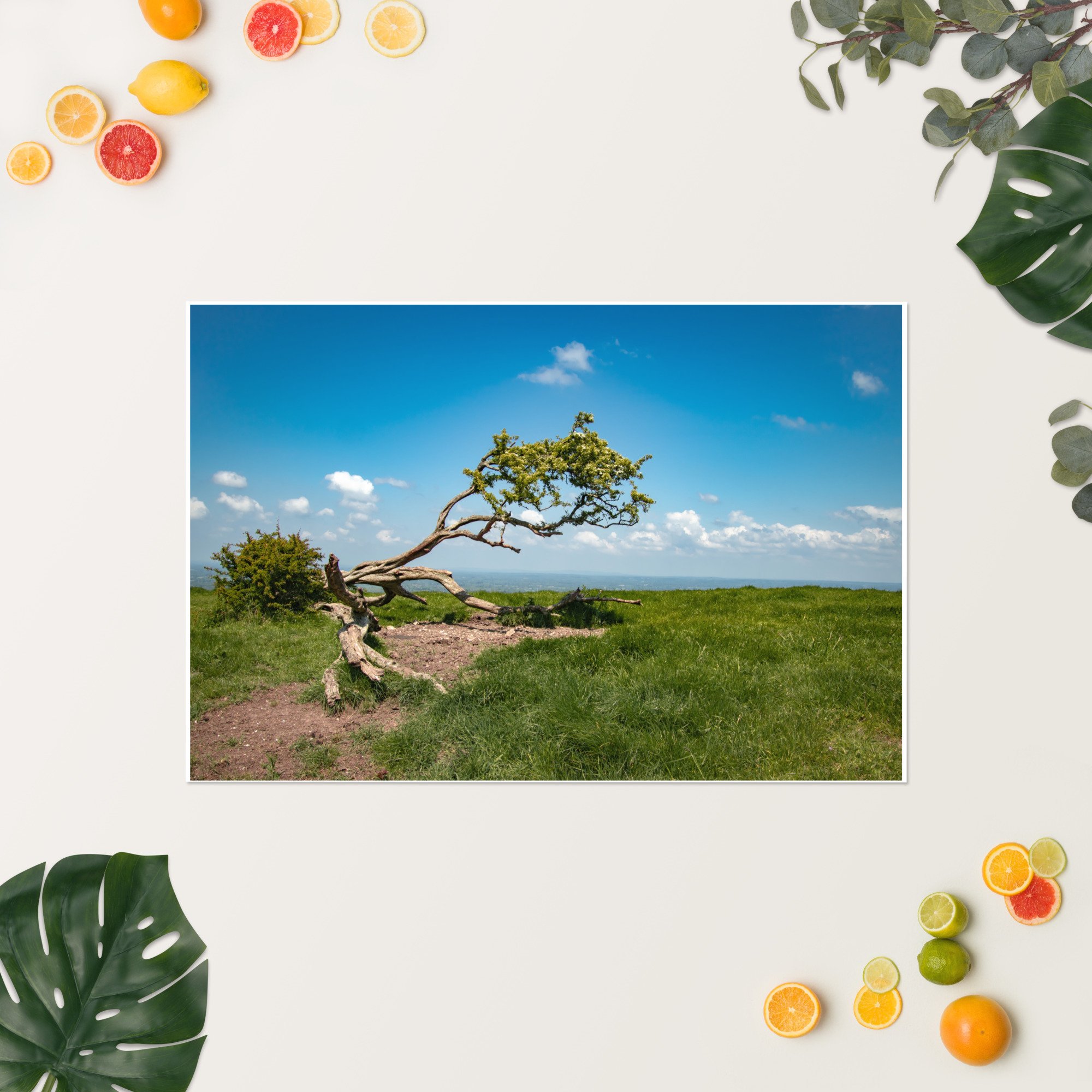 enhanced-matte-paper-poster-(in)-24x36-springsummer-652fa2d0f274d.jpg