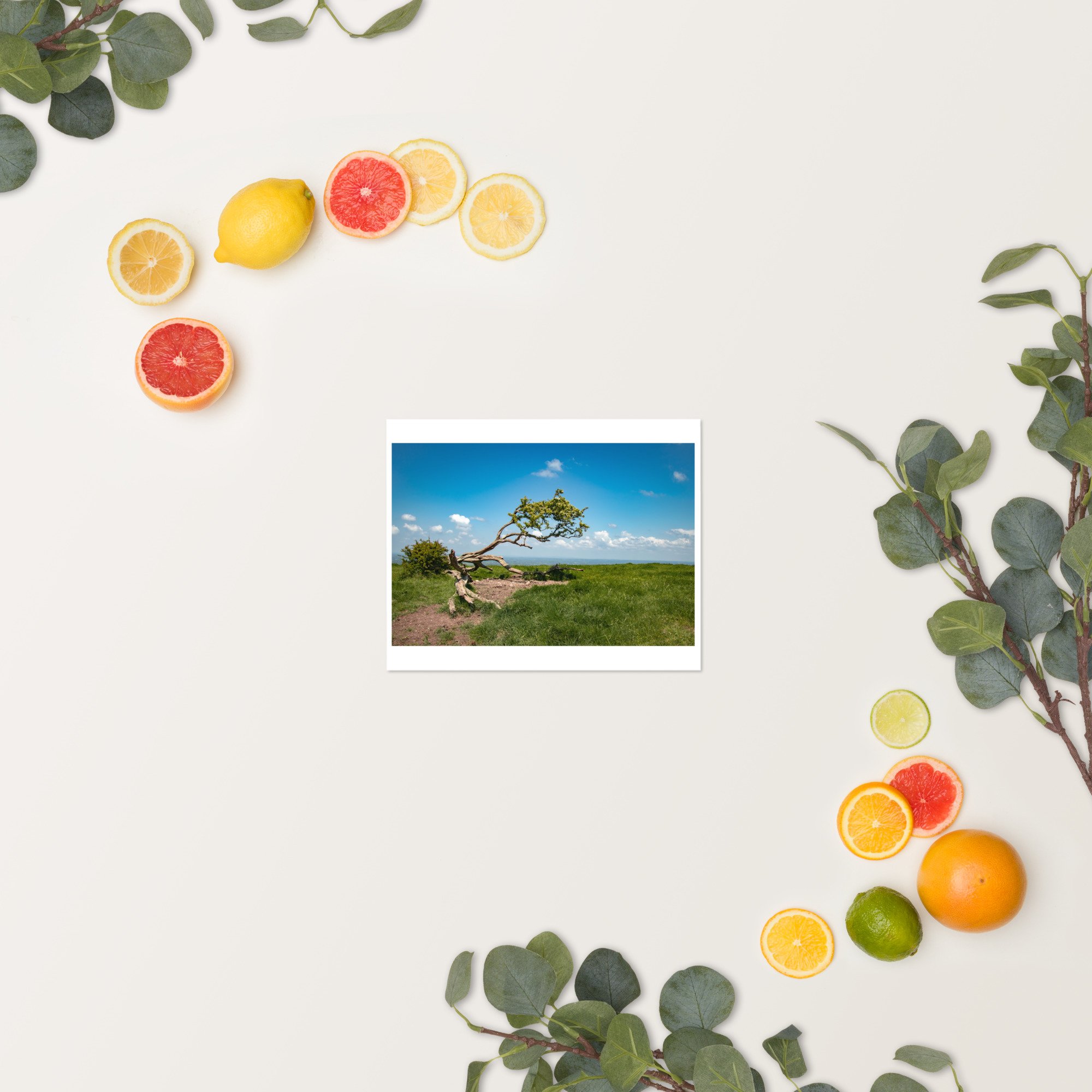 enhanced-matte-paper-poster-(in)-8x10-springsummer-652fa2d0f27ed.jpg