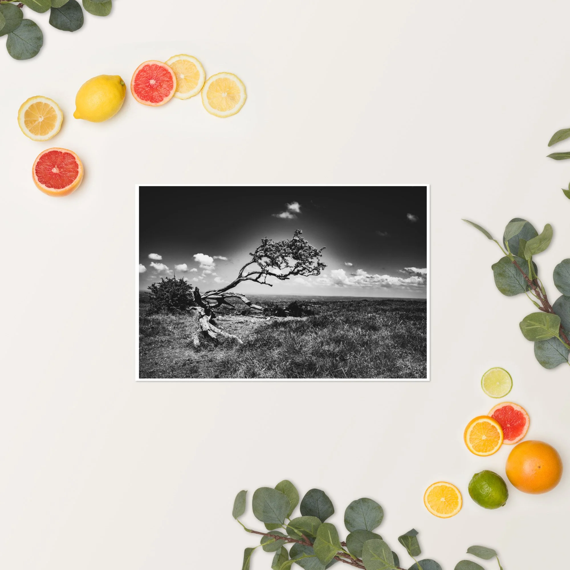 enhanced-matte-paper-poster-(in)-12x18-springsummer-65318aa77c356.jpg