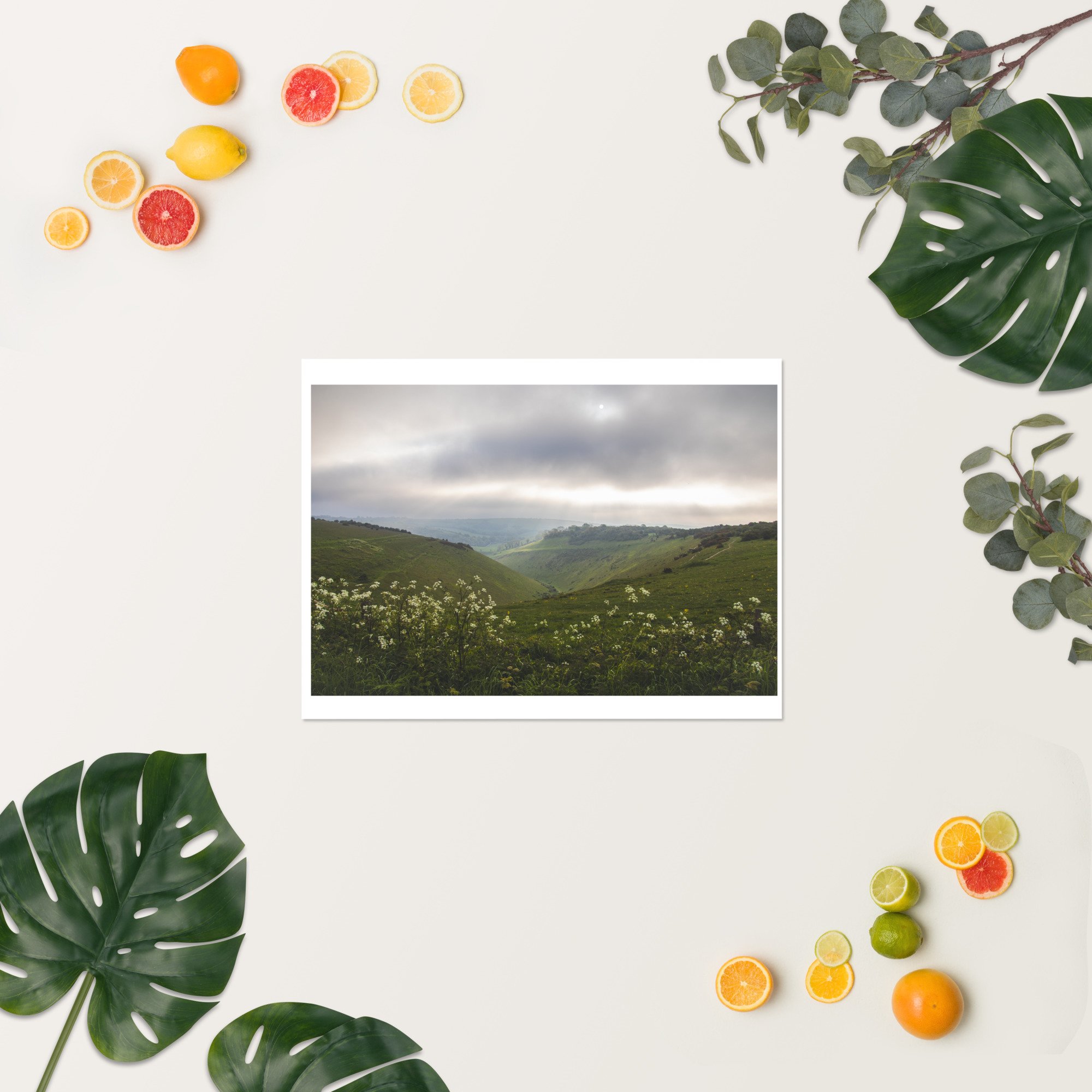 enhanced-matte-paper-poster-(in)-18x24-springsummer-65319a8f356c2.jpg