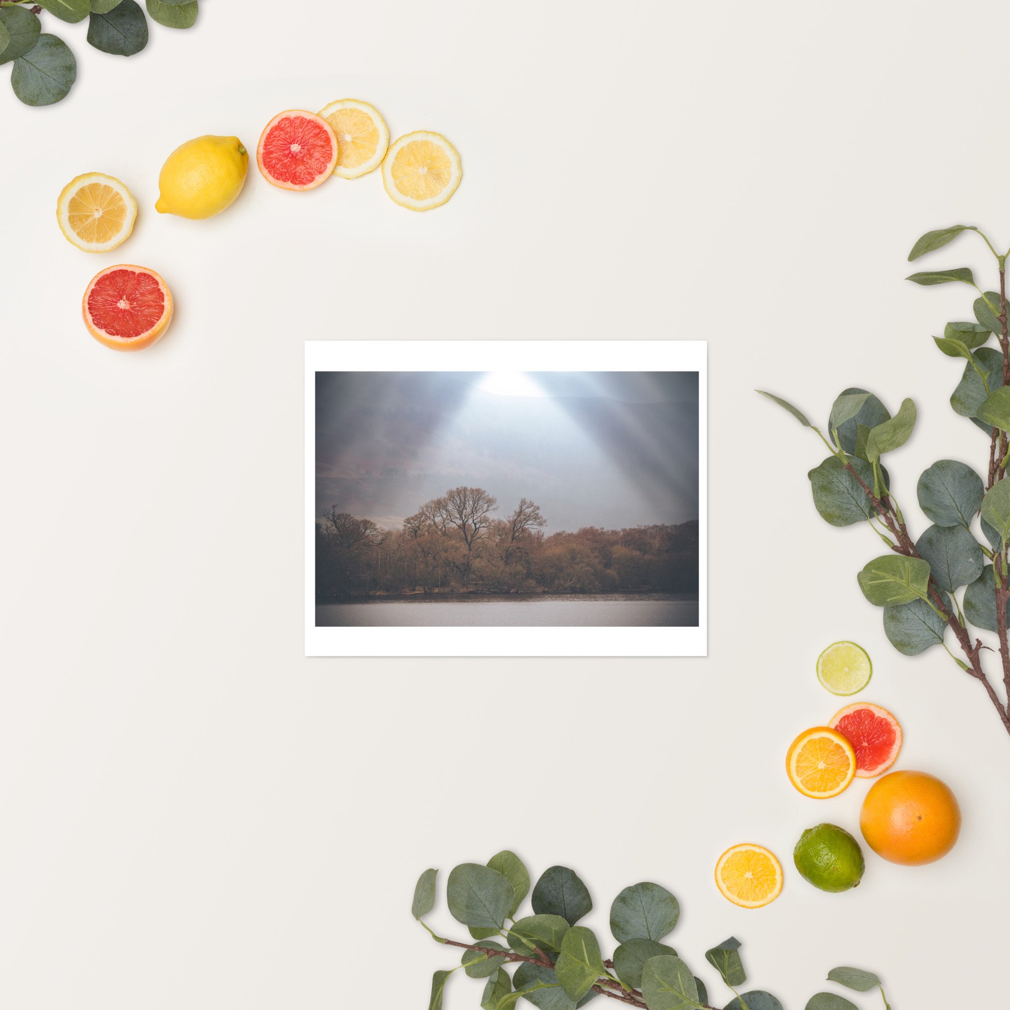 enhanced-matte-paper-poster-(in)-11x14-springsummer-6533e7c9401da.jpg