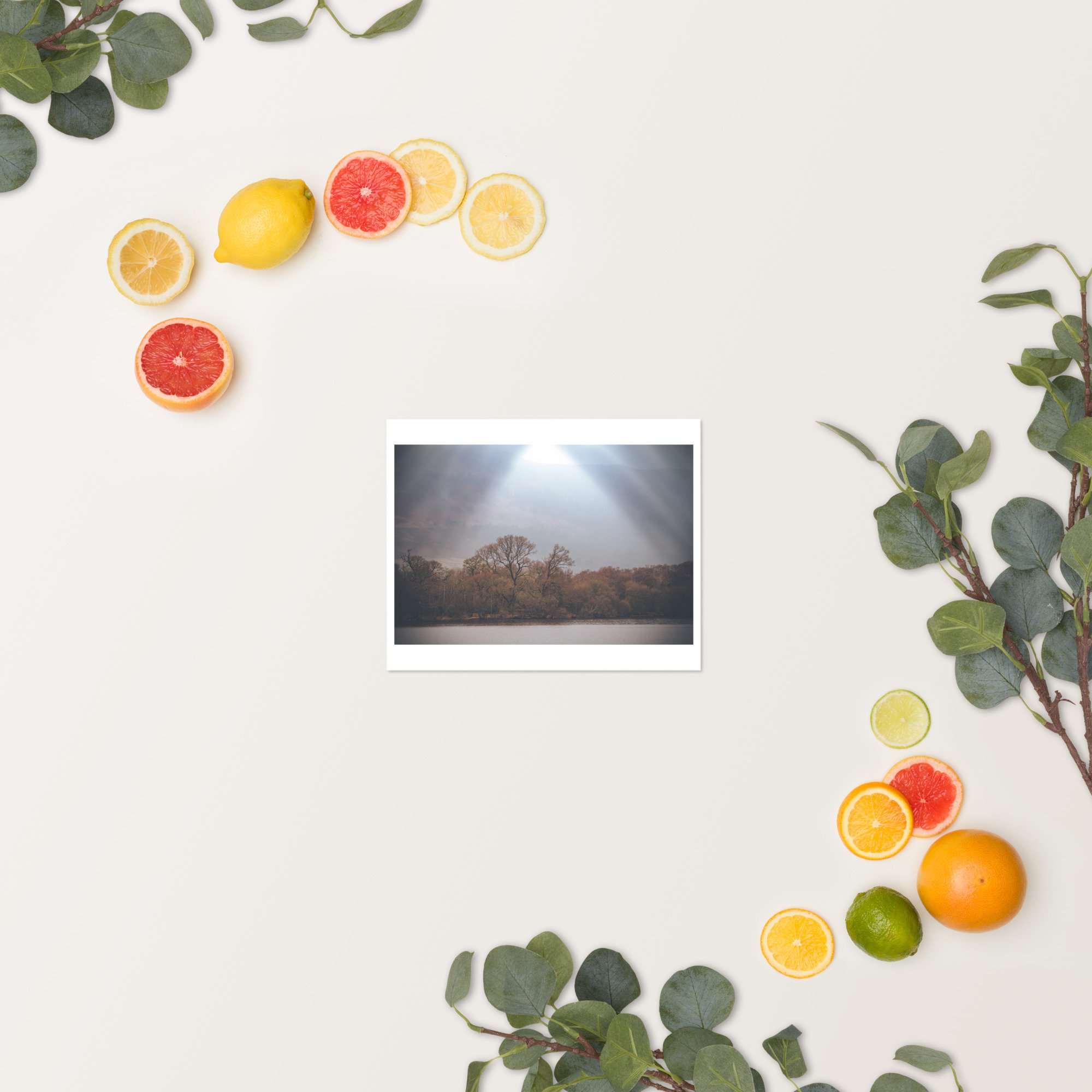 enhanced-matte-paper-poster-(in)-8x10-springsummer-6533e7c94050e.jpg