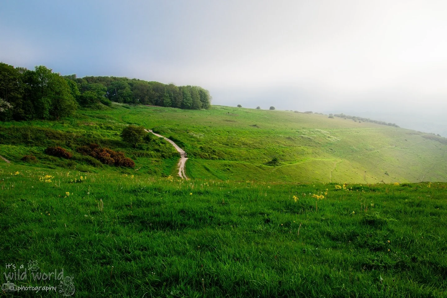 Good Old Sussex By The Sea 💙💚

High quality prints of these images and other items such as clothing, mugs, and tote bags are available in store. Send me a message if you would like to create a personalised product or print of any photo from the gal