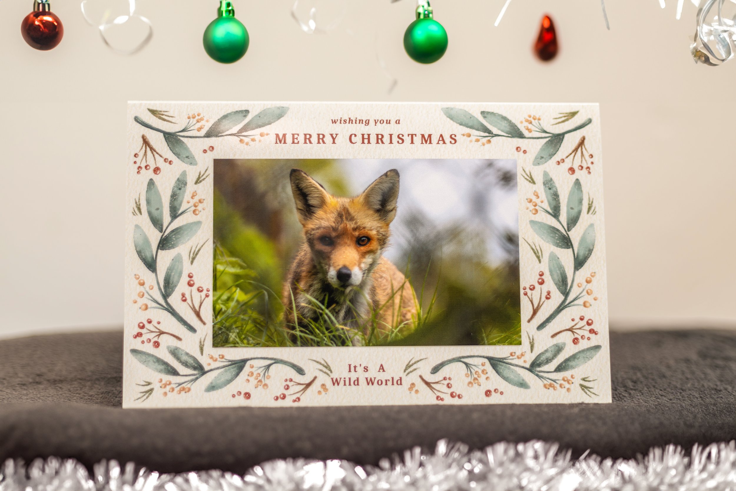 Fox.jpg