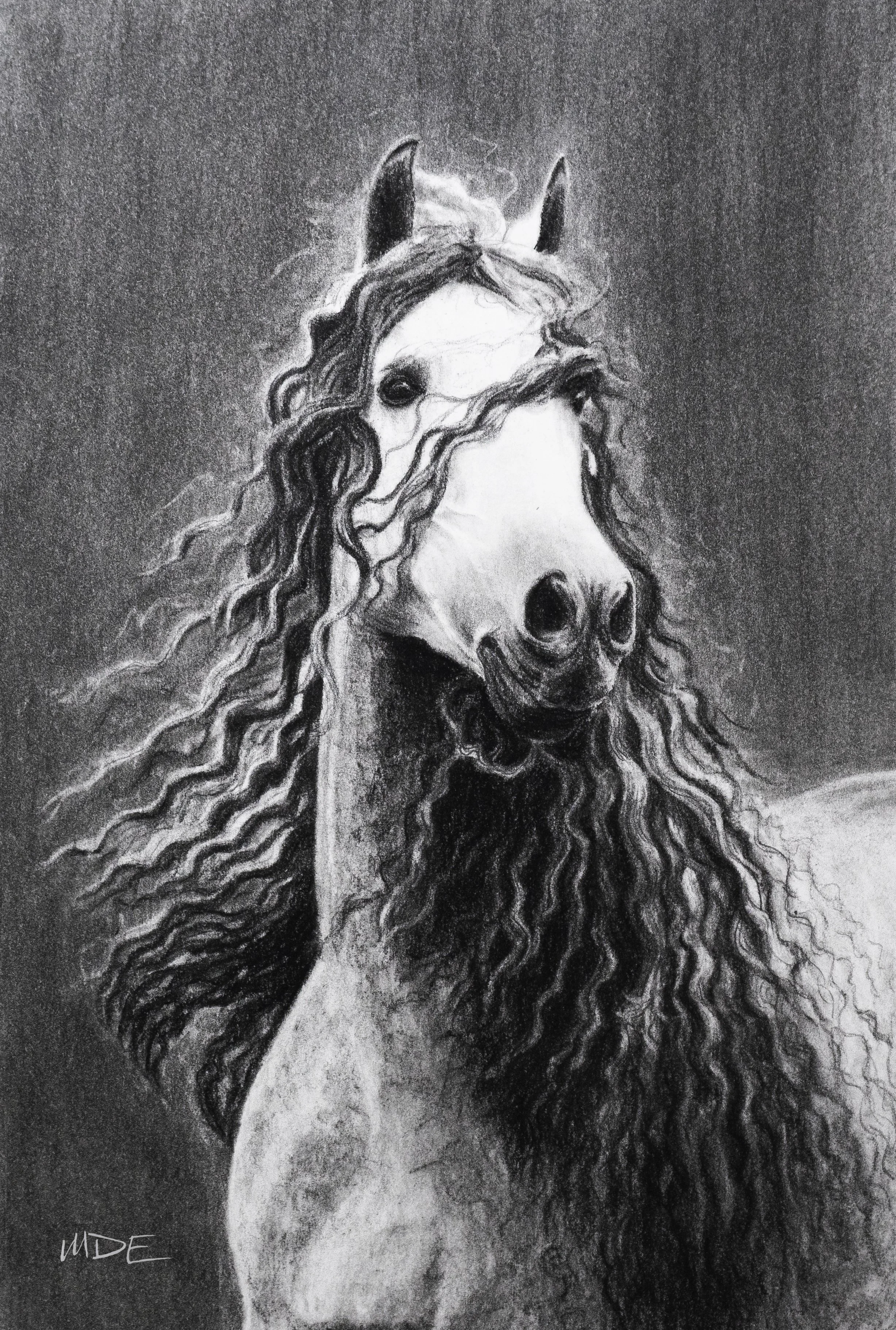 Shadowfax Print.jpg