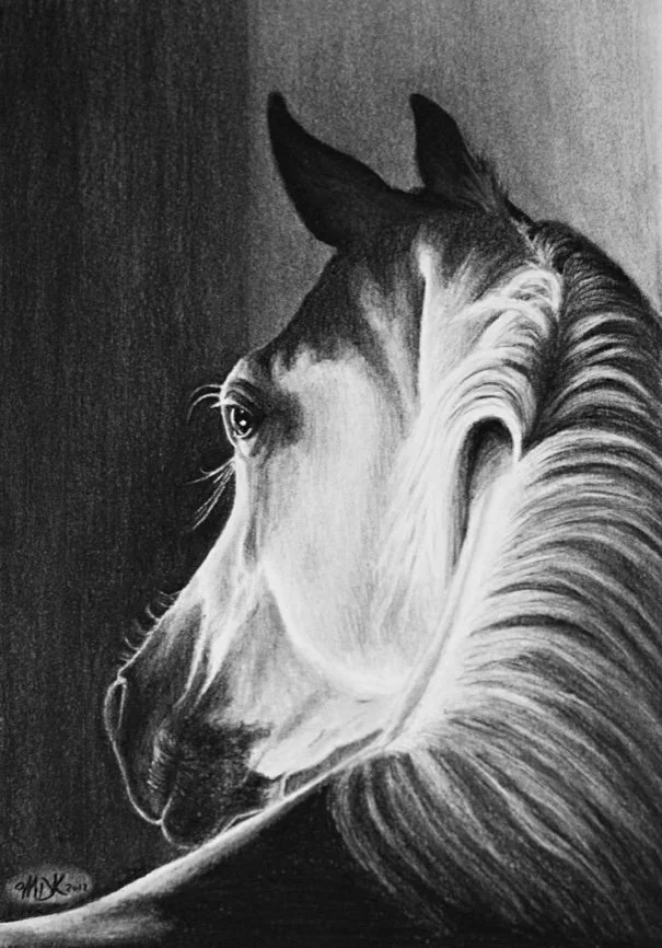 Horse 7.jpg