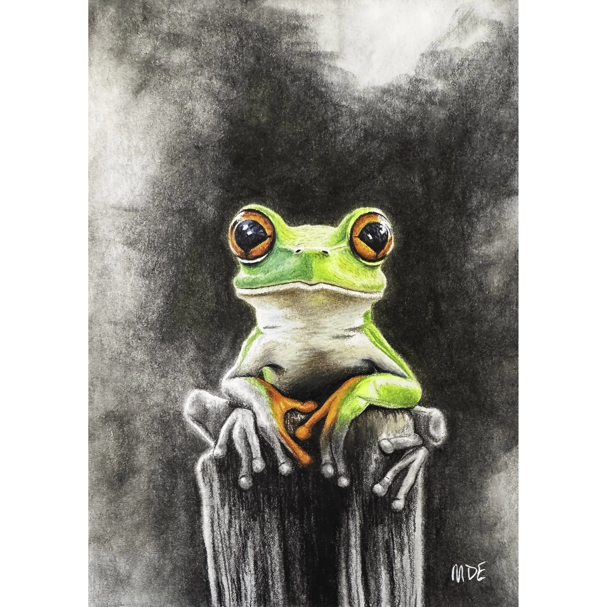 Frog on Post - Original Artwork