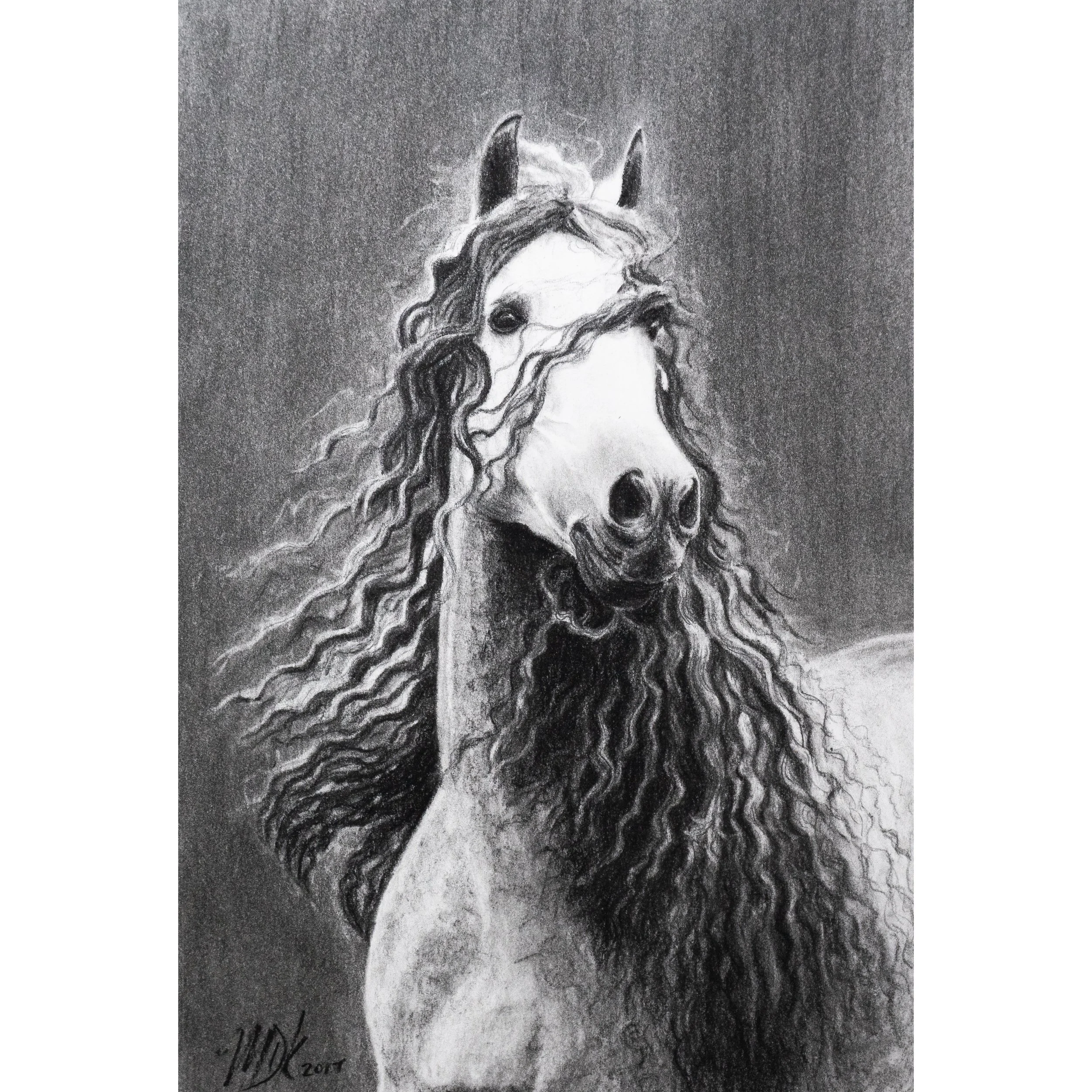 Shadowfax - Original Pencil Drawing