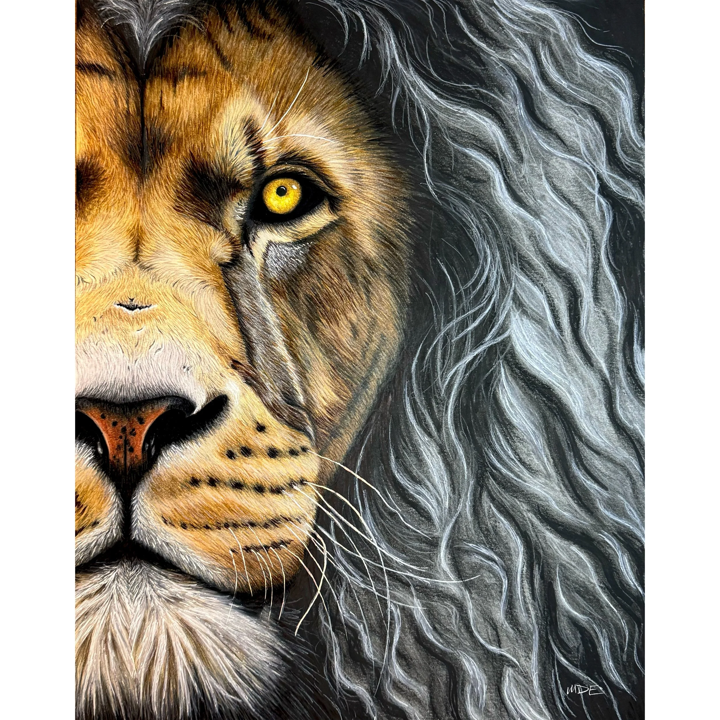Aslan - Print of Original Artwork
