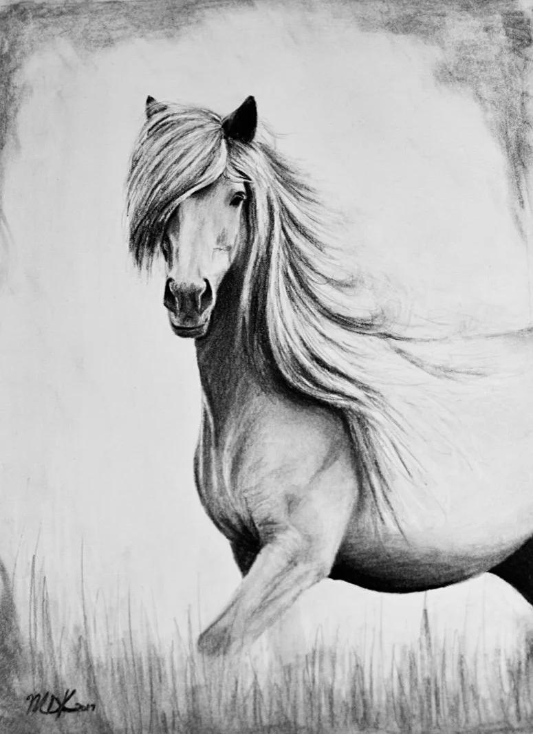 Horse 5.jpg