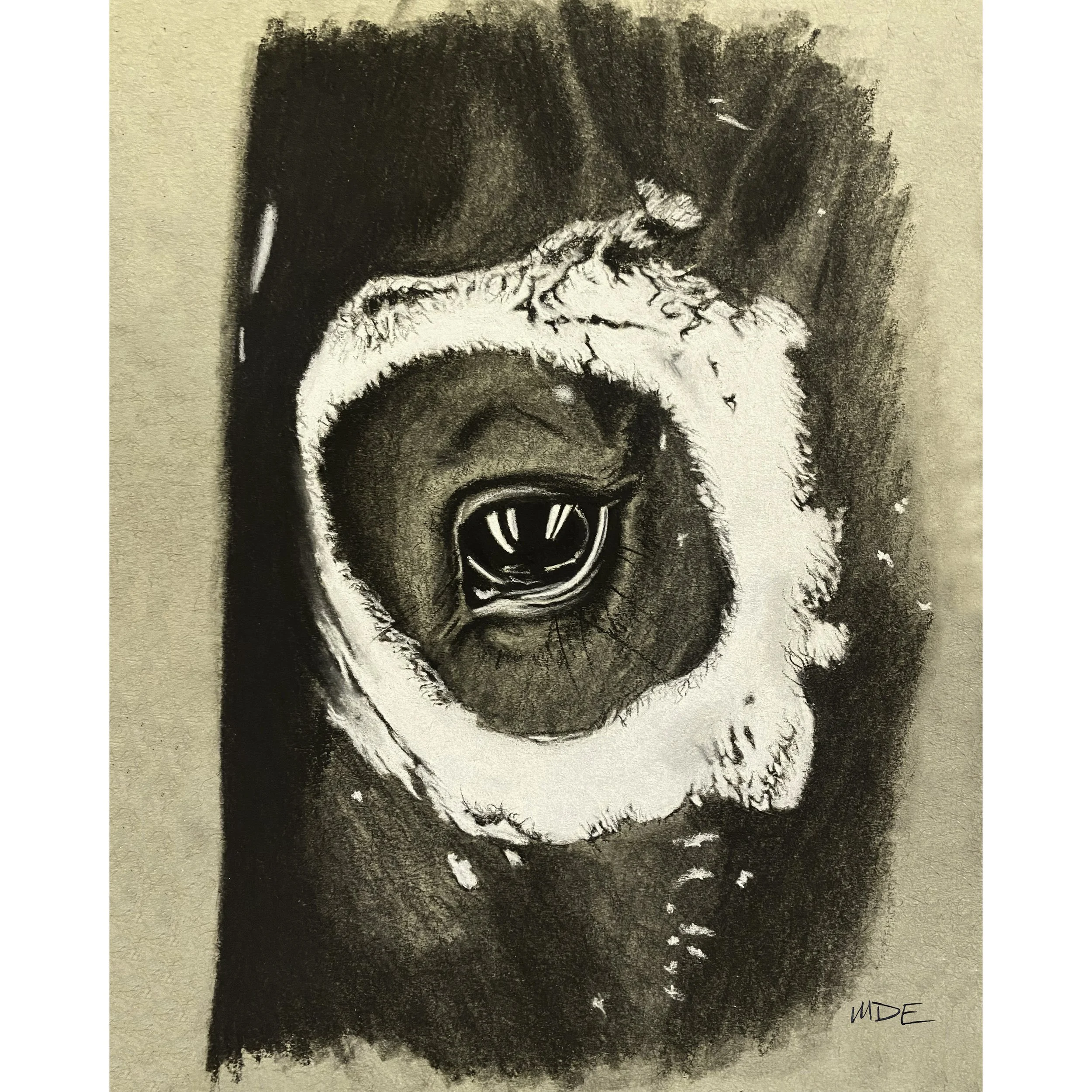Painted Pony - Print of Original