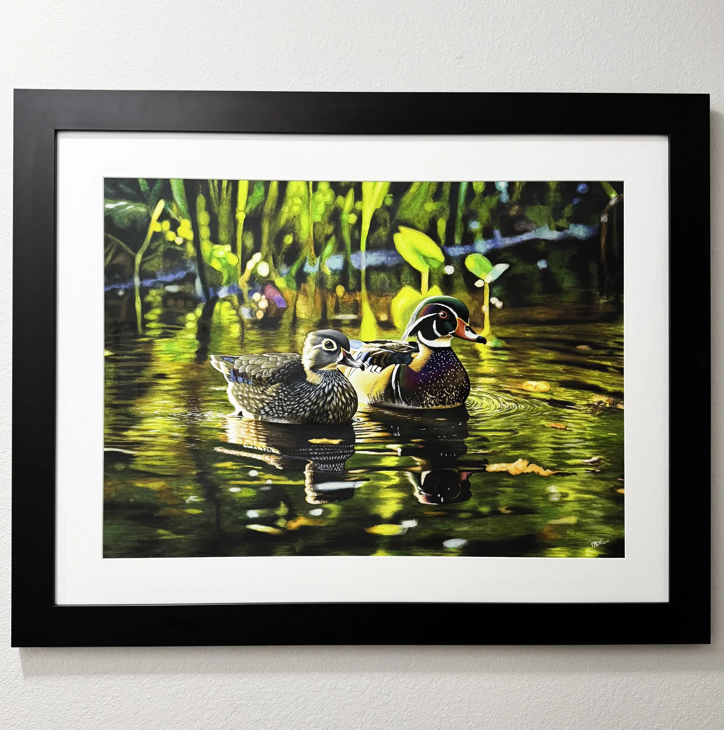 Wood Ducks at Dawn - Framed Original Artwork