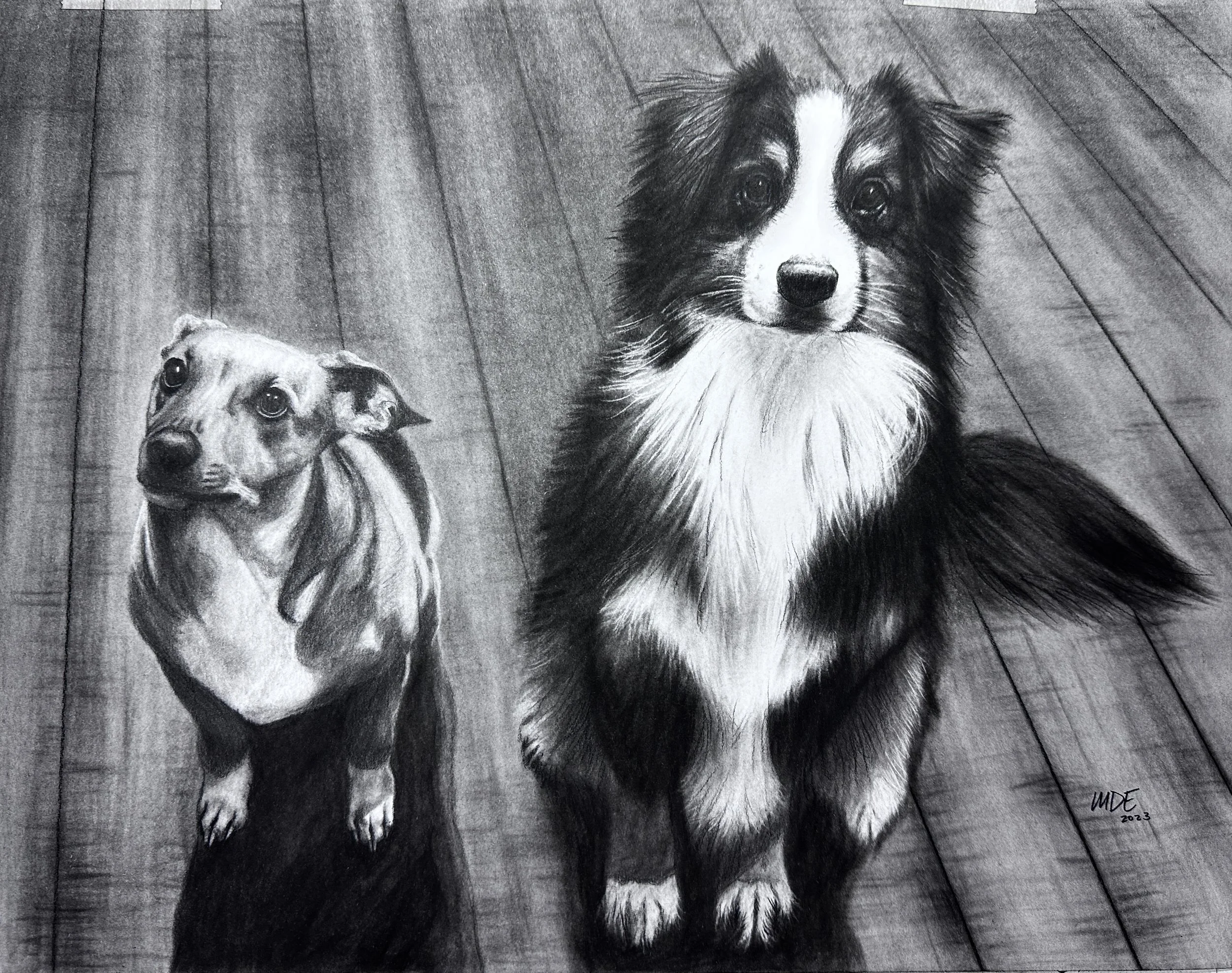 2 Dogs.JPG