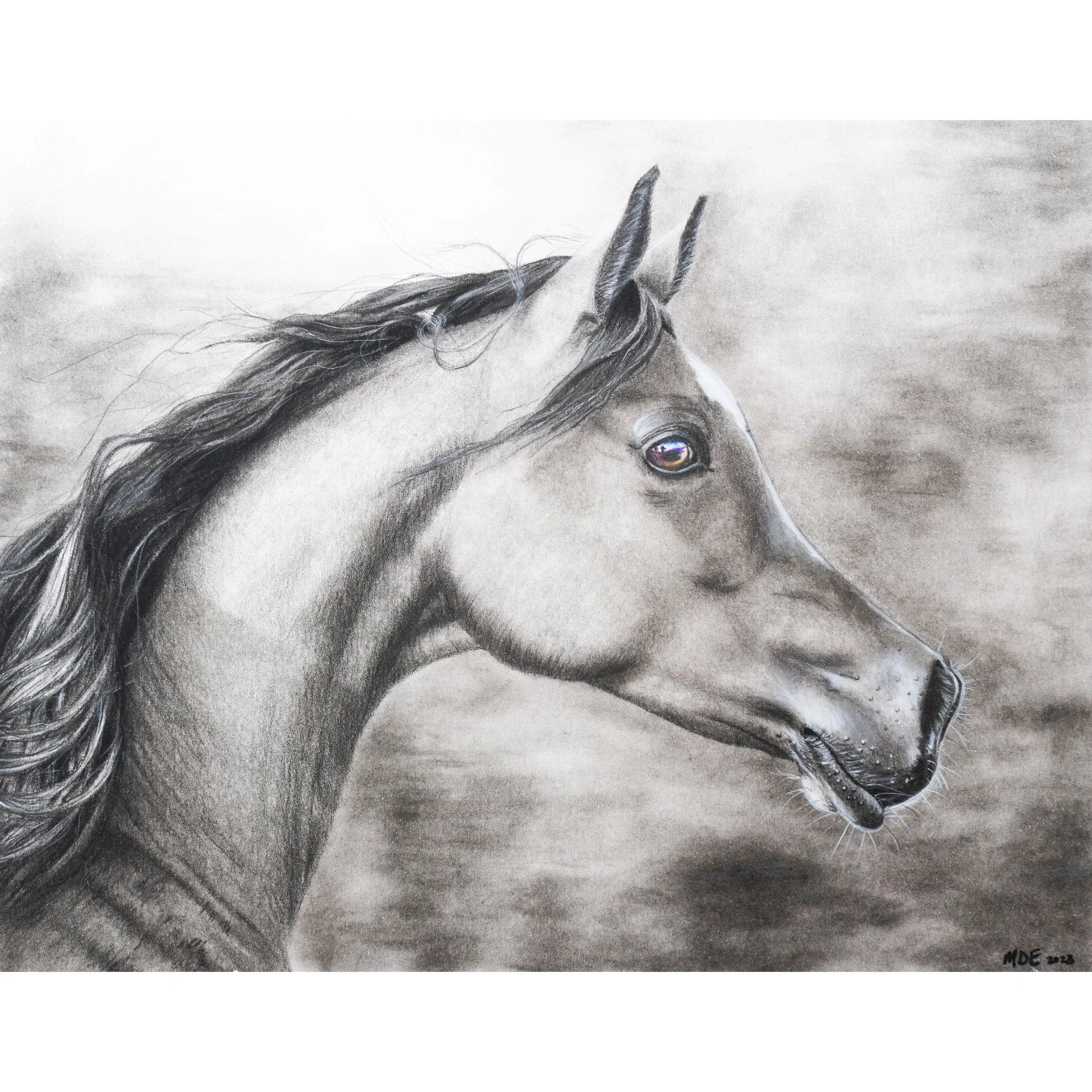 Shadow - Original Pencil Drawing
