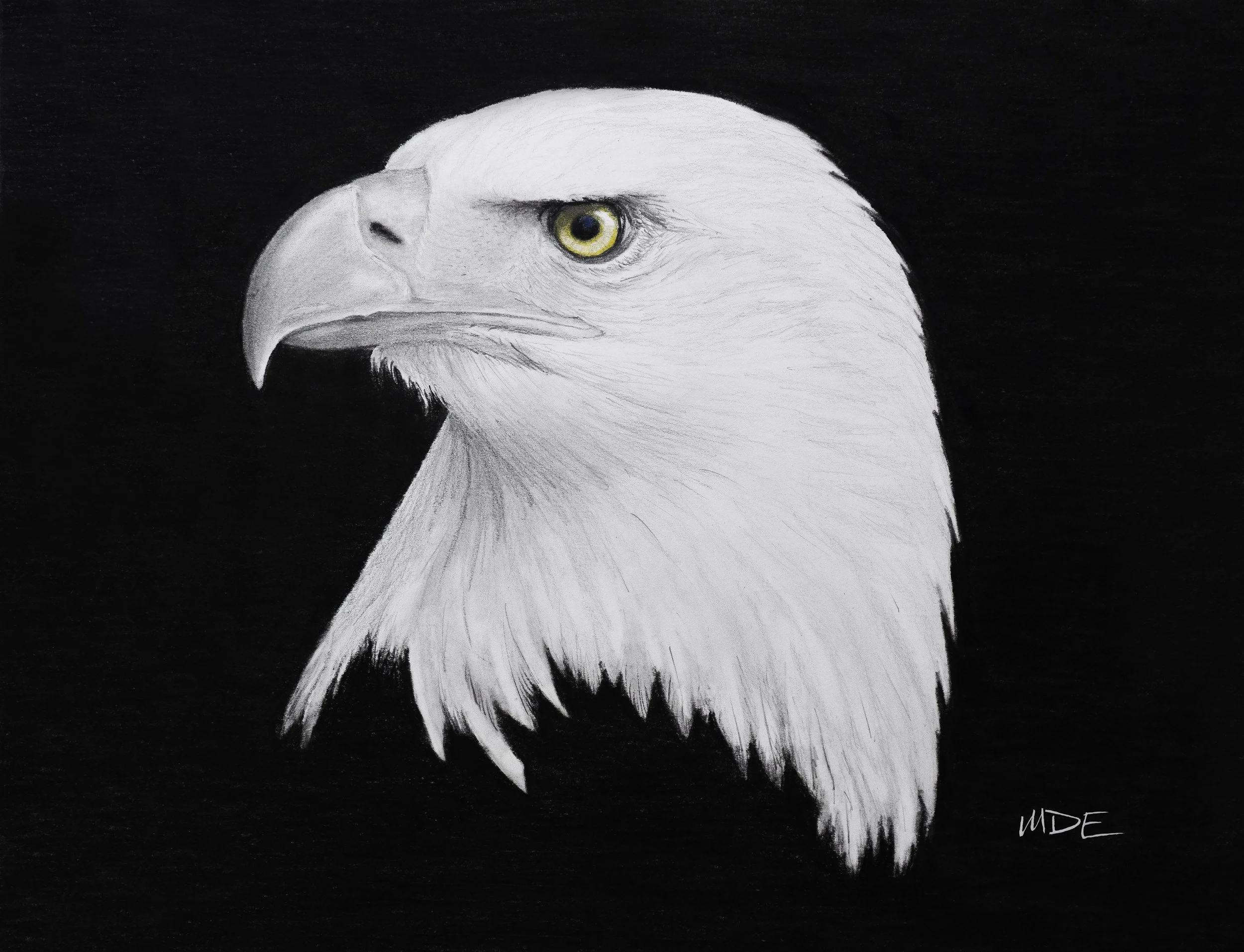 Eagle Eye Print.jpg