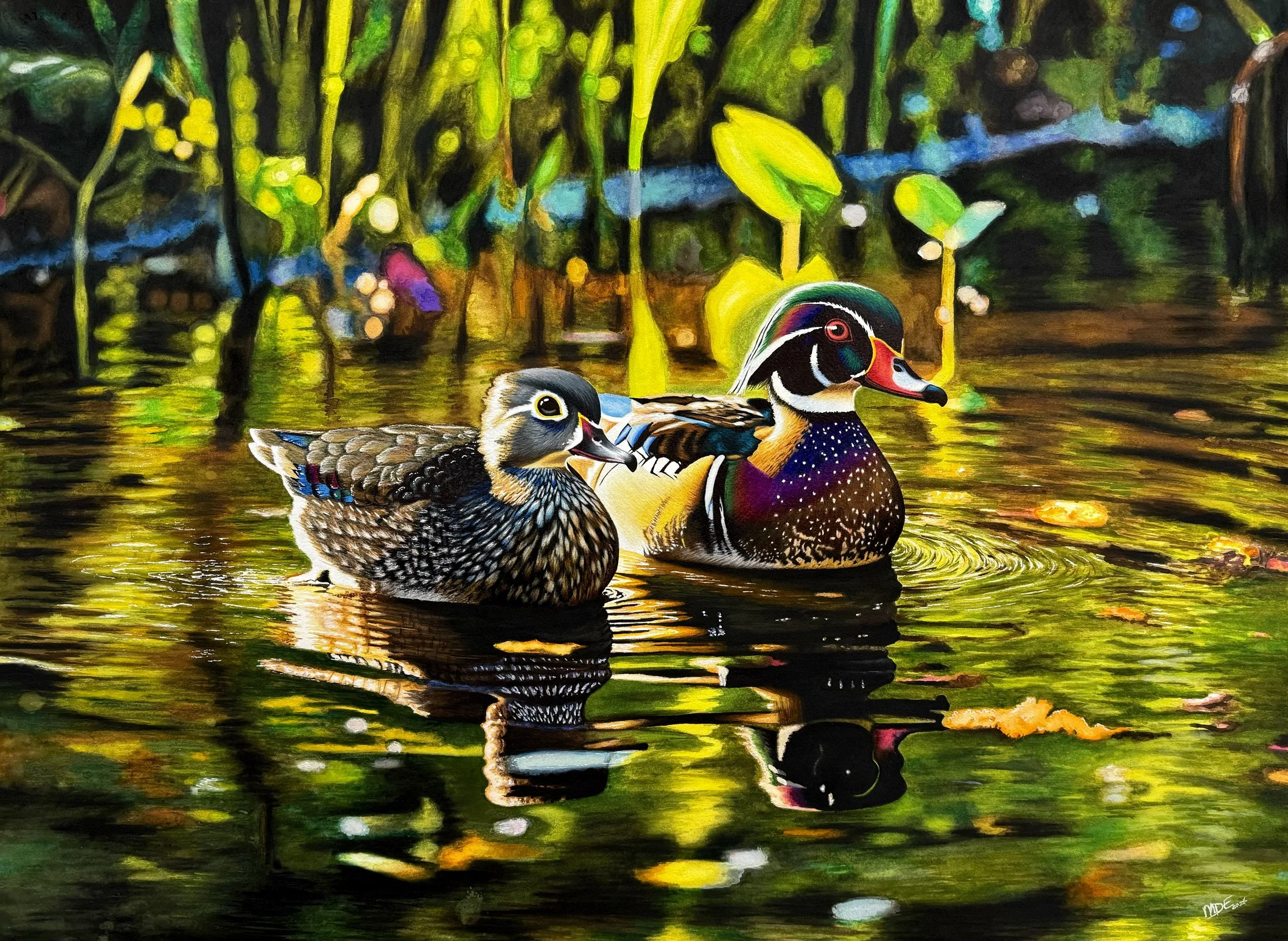 Wood Ducks.jpg