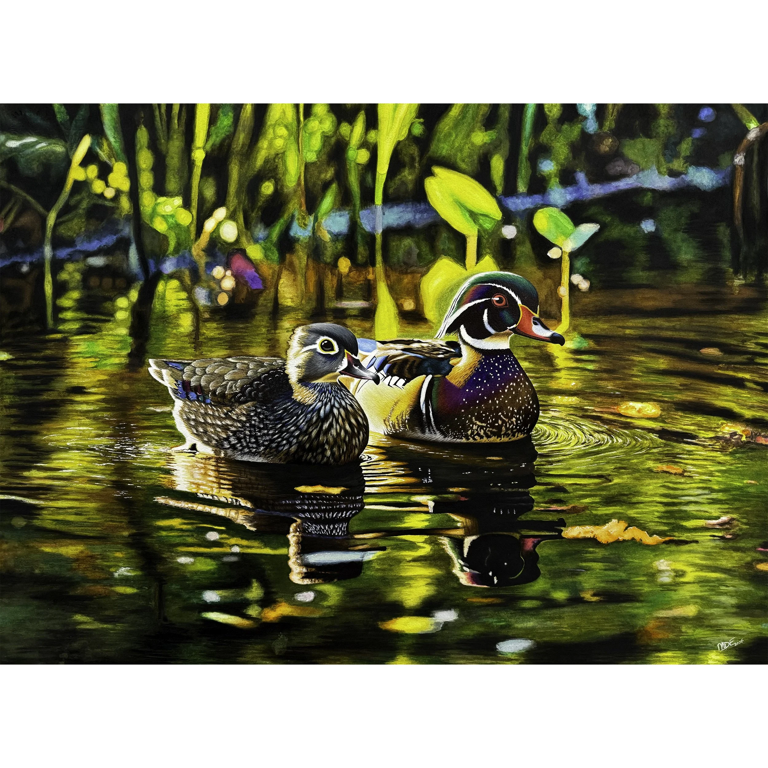 Wood Ducks at Dawn -  Print of Original