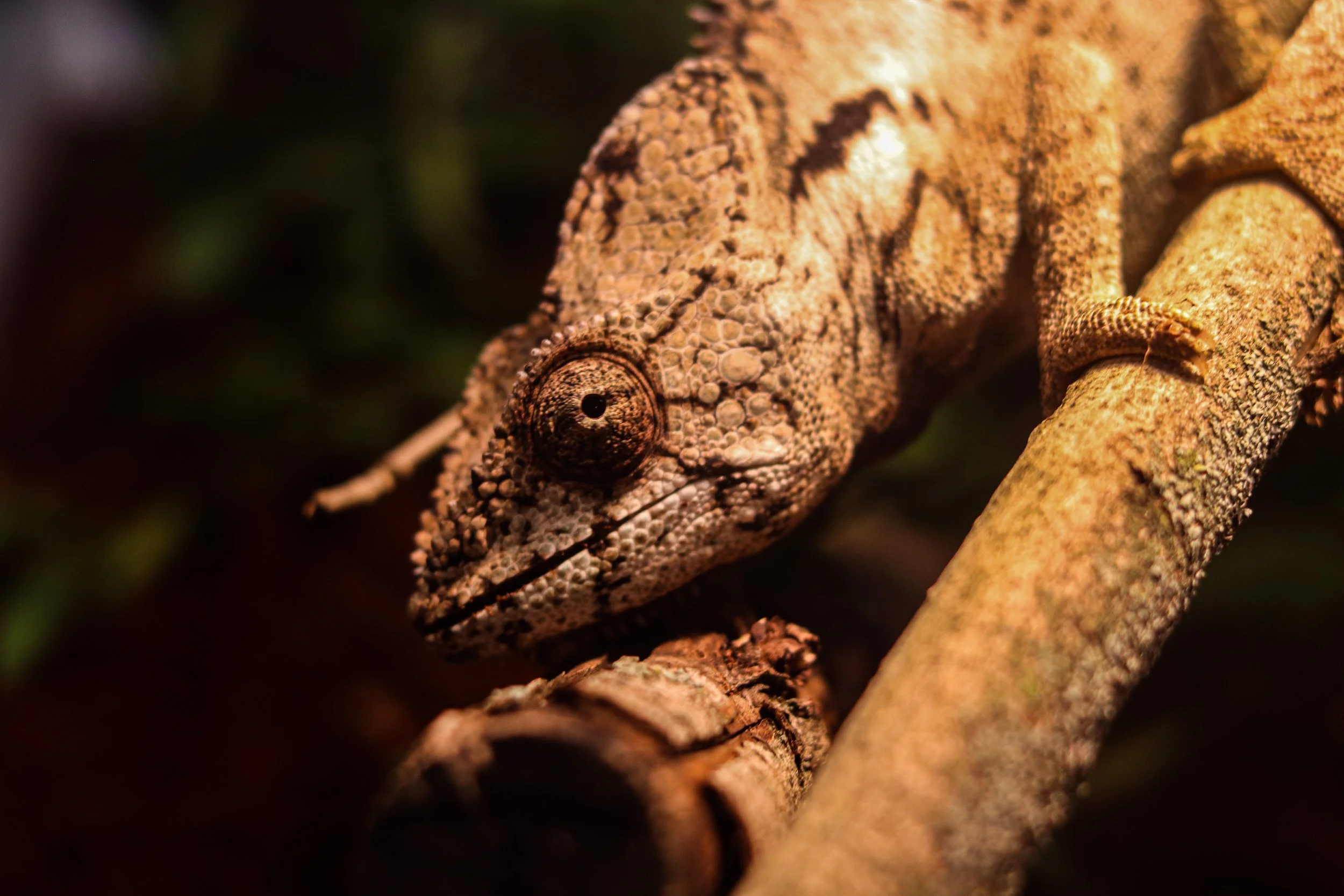Top Photo Picks: Part 1