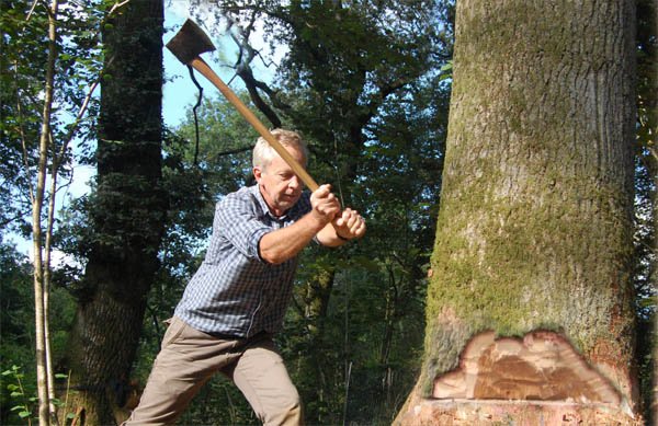 Tree Felling with an Axe