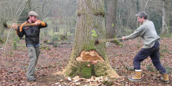 felling-with-axe3.jpg