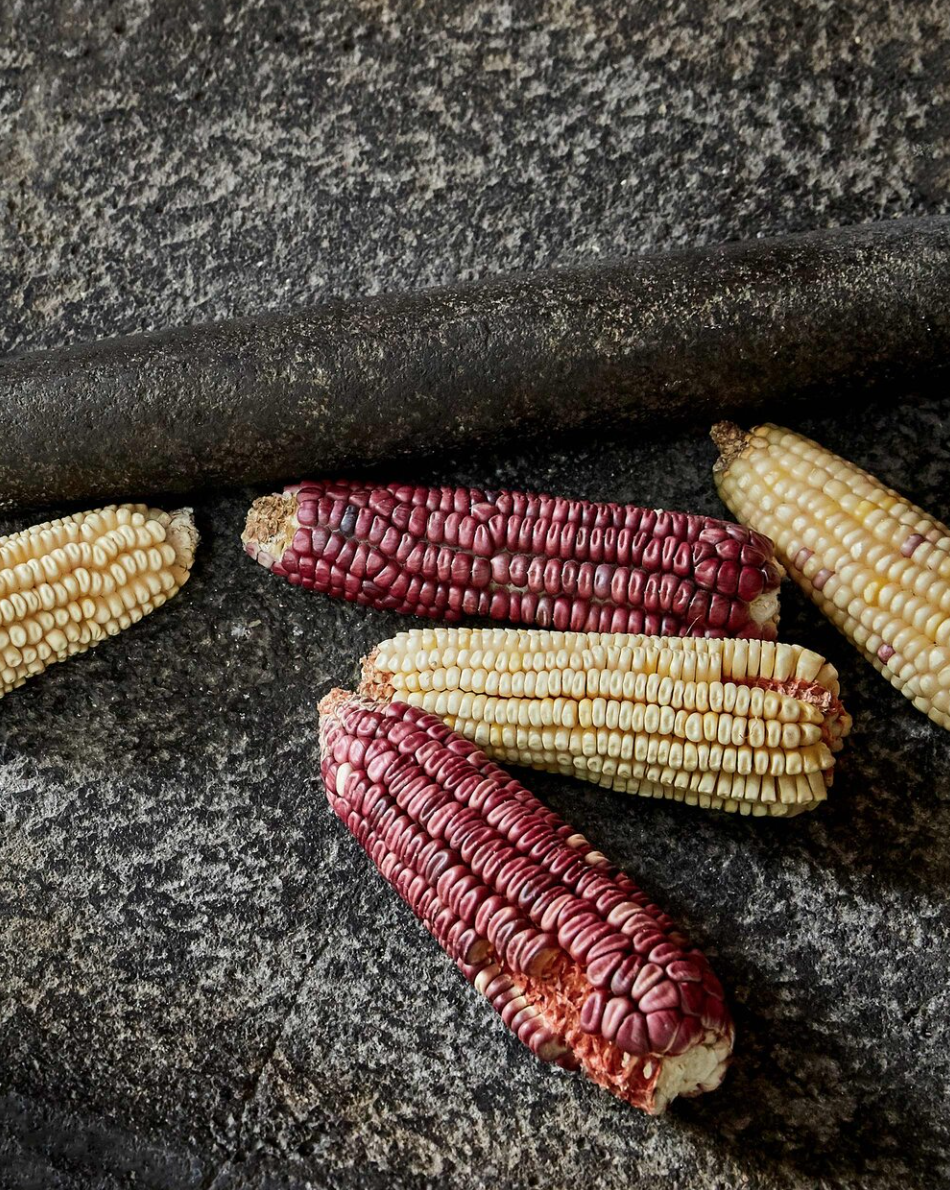 Screen Shot 2023-08-17 at 11.15.21 AM.png