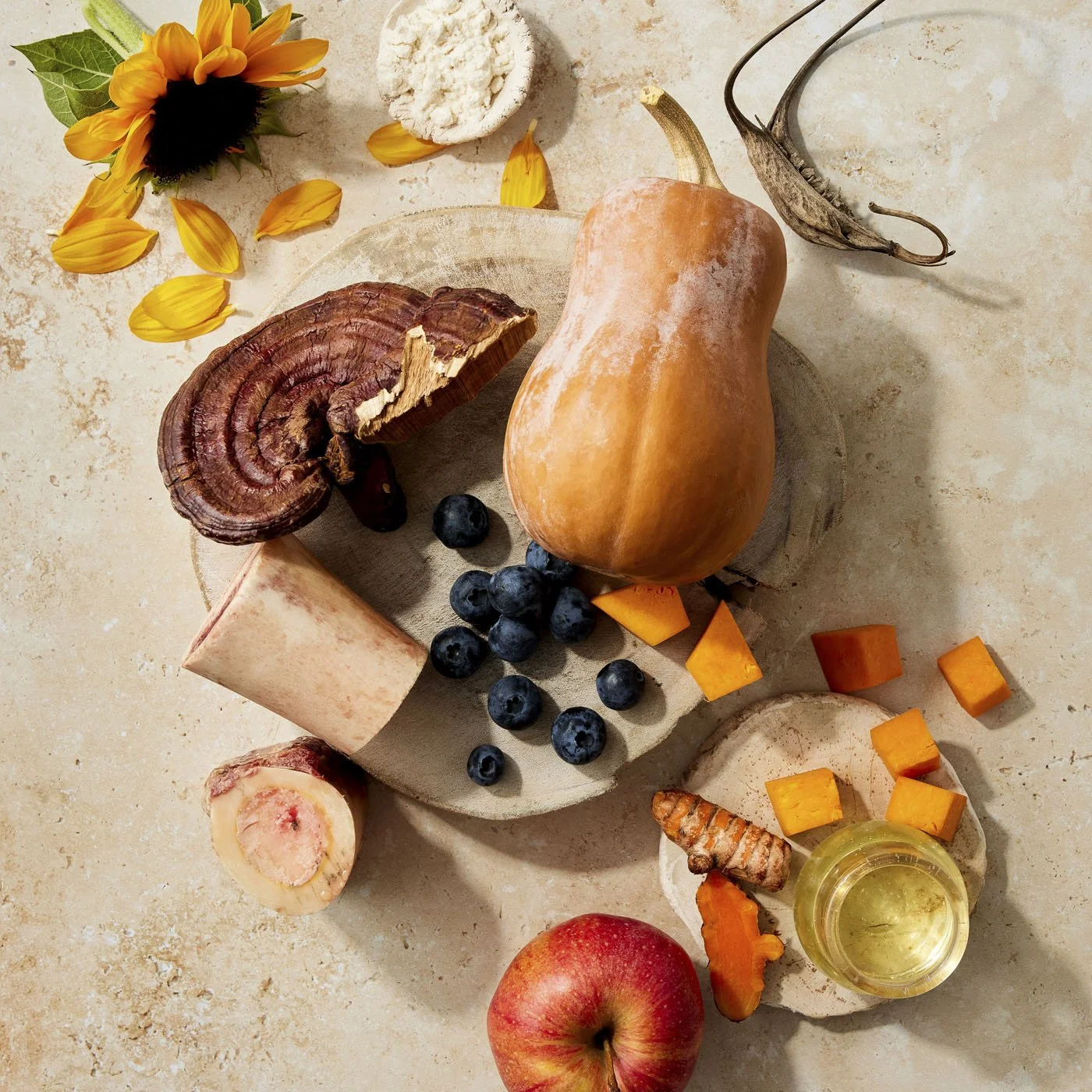 Ingredient _Cluster_SQUIRREL-4.jpg