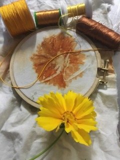 Imprinting Plant Alchemy on wool fabric, plant print with Liz Gaffney