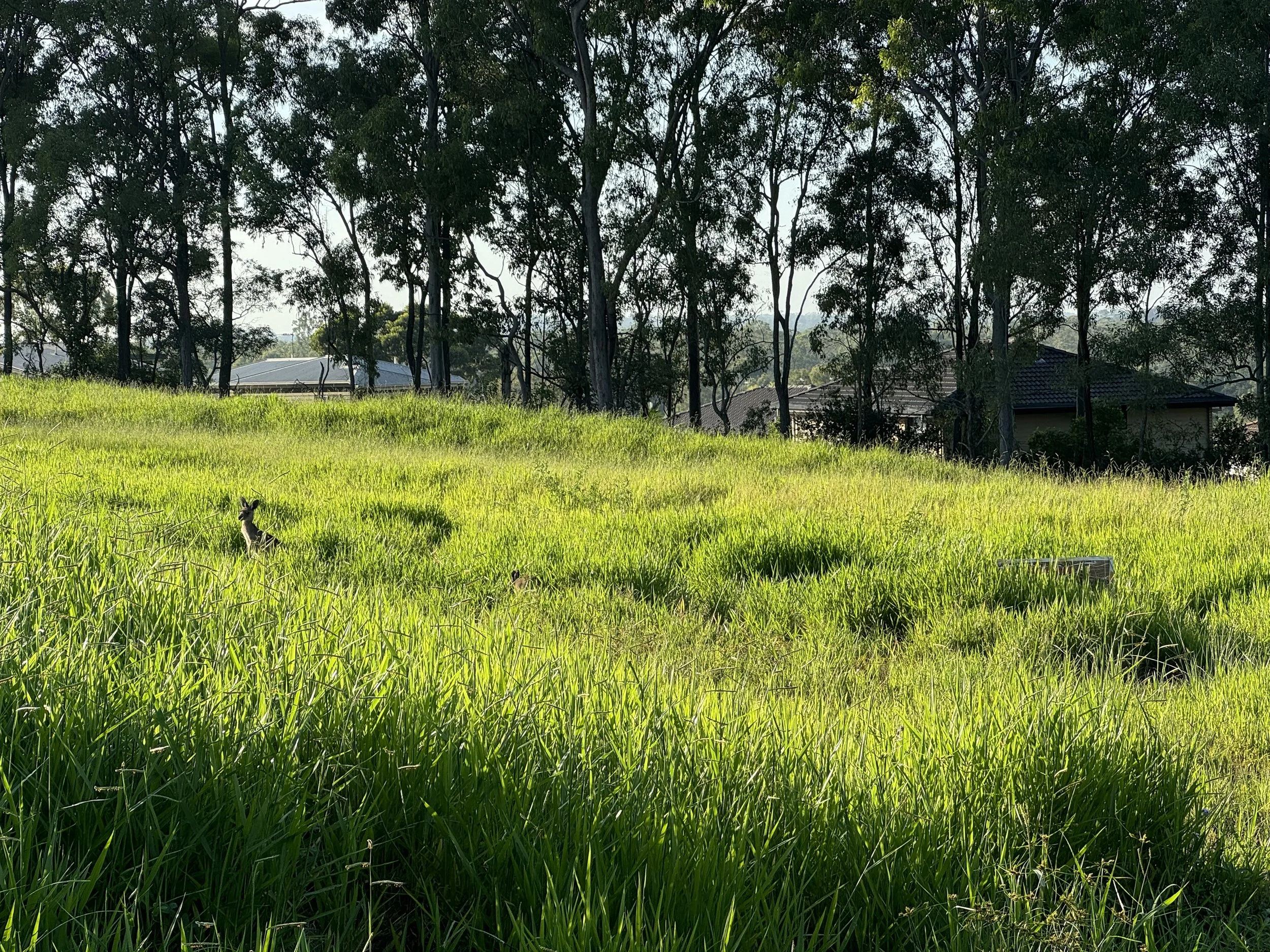 Third Sunday in Lent