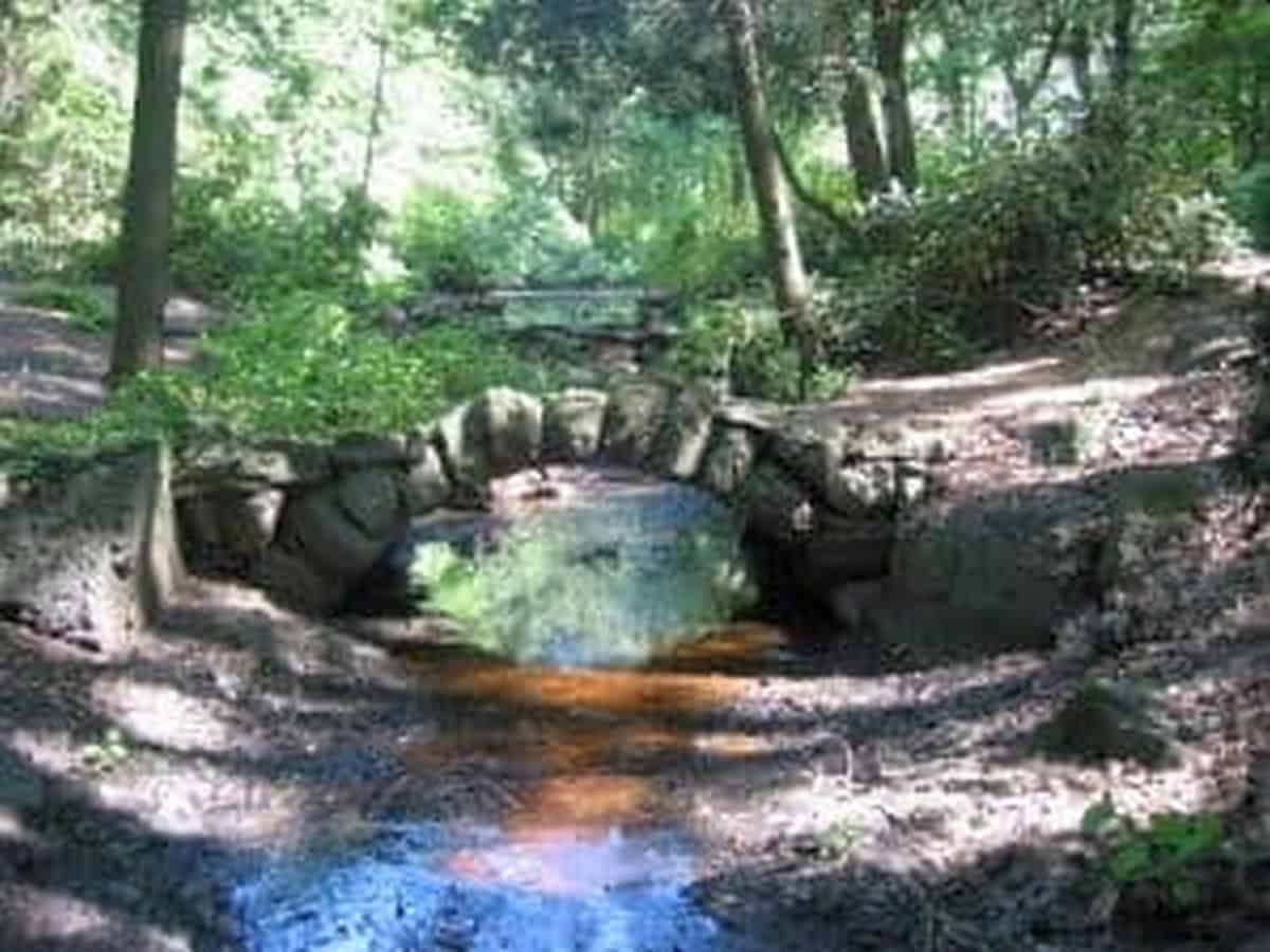 Off the Beaten Path Summer Meanderings: Houghton Garden