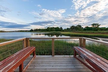 Off the Beaten Path Summer Meanderings: Ipswich Audubon Wildlife Sanctuary