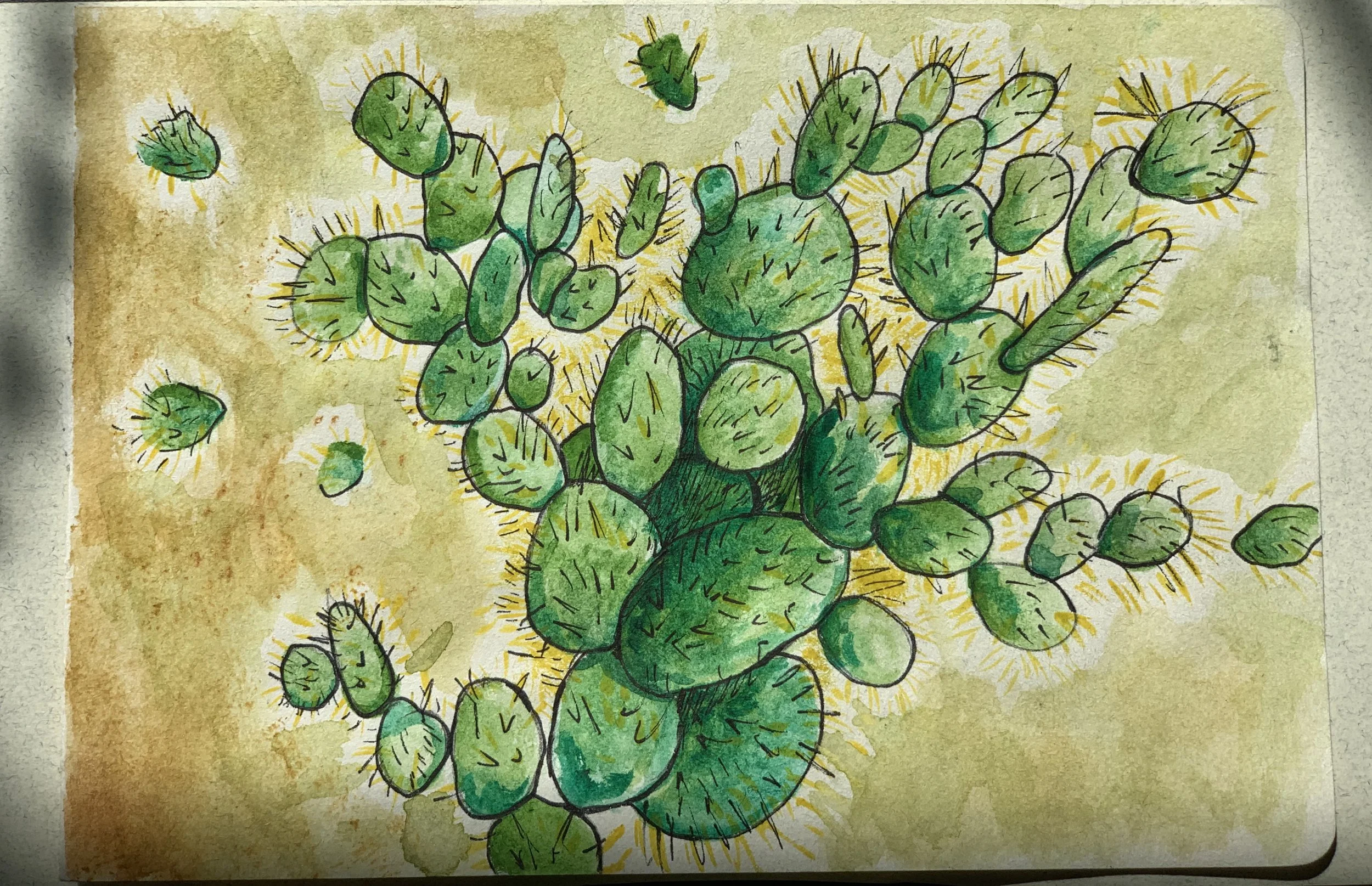 Sketch - Joshua Tree 2021