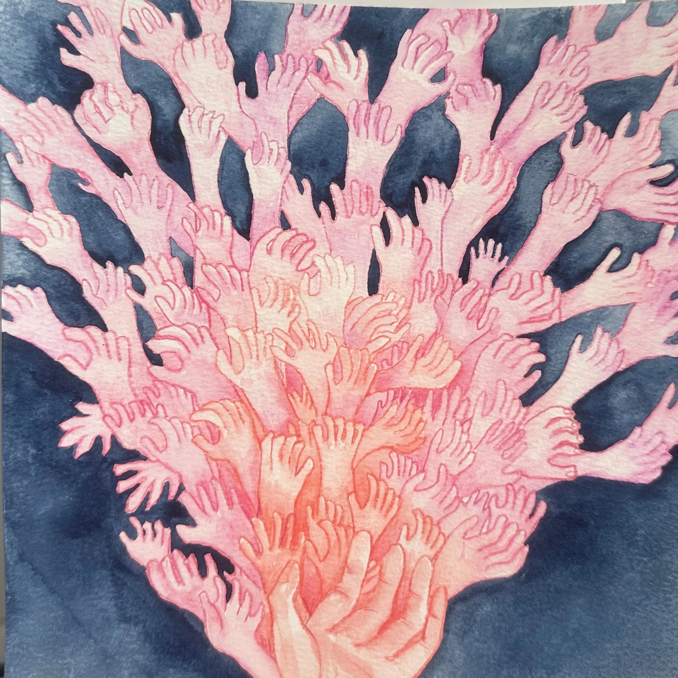 Coral - Oahu 2023
