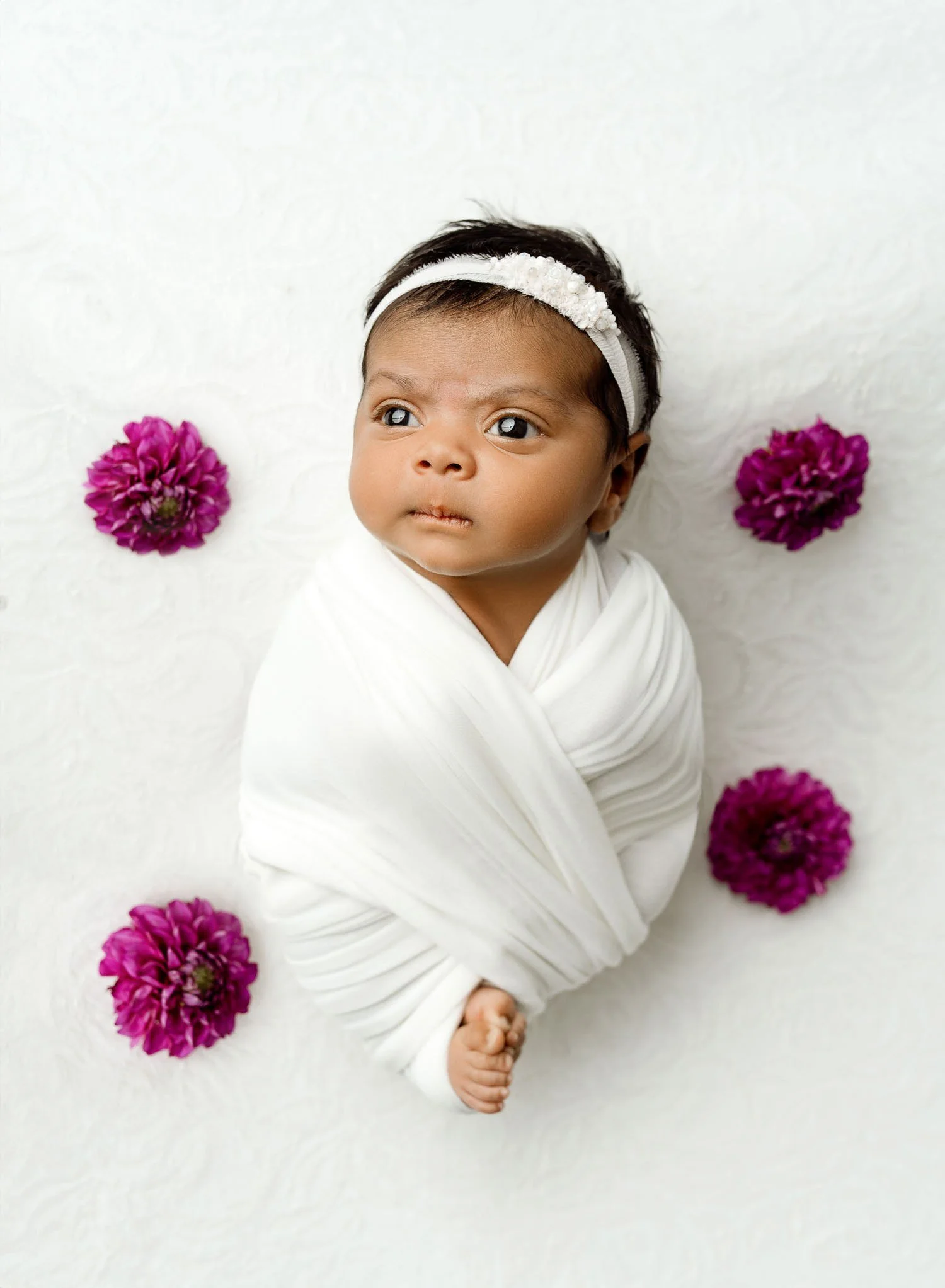 st-louis-studio-newborn-session-285.jpeg