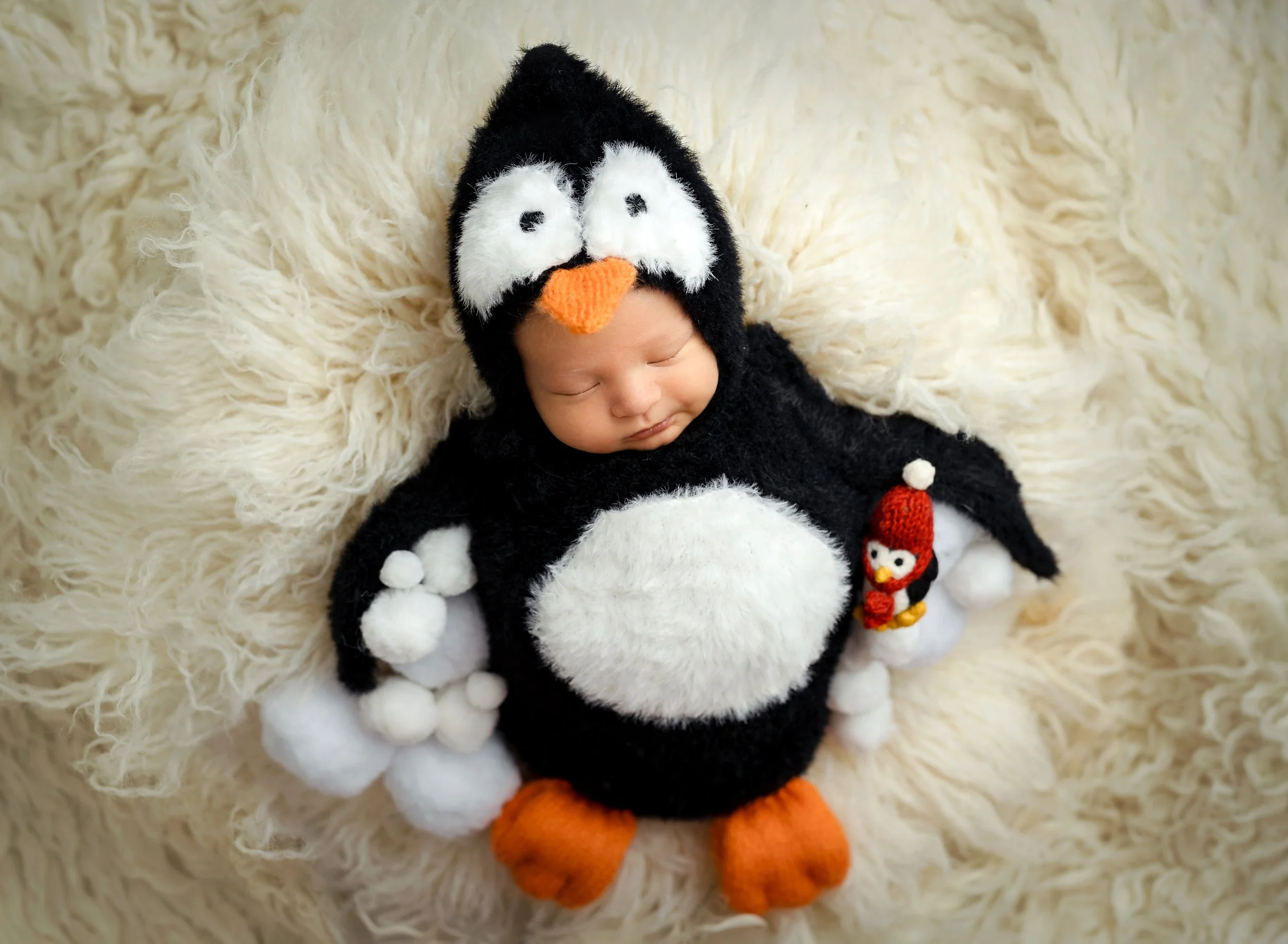 st-louis-holiday-newborn-sessions-013.jpeg