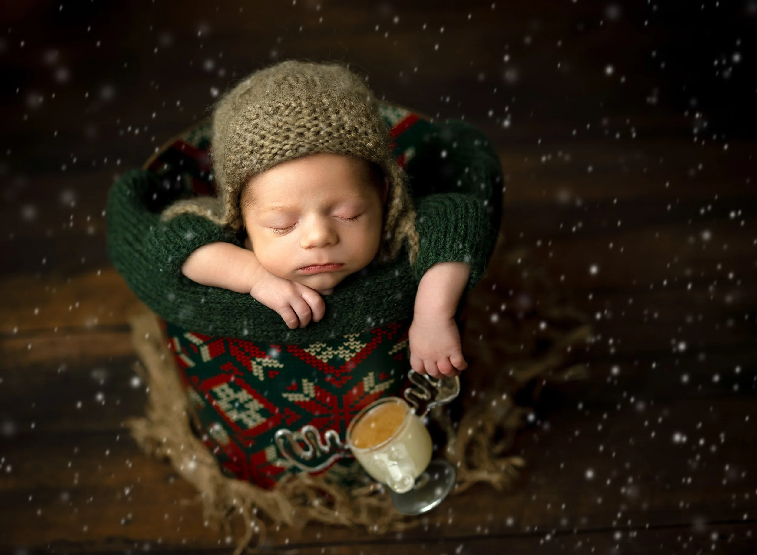 st-louis-newborn-photographer15.jpeg