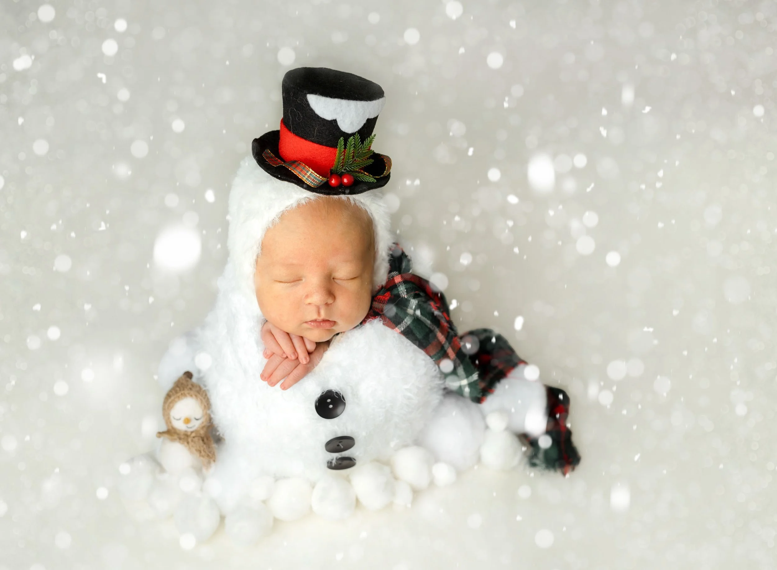 st-louis-newborn-photographer152.jpeg