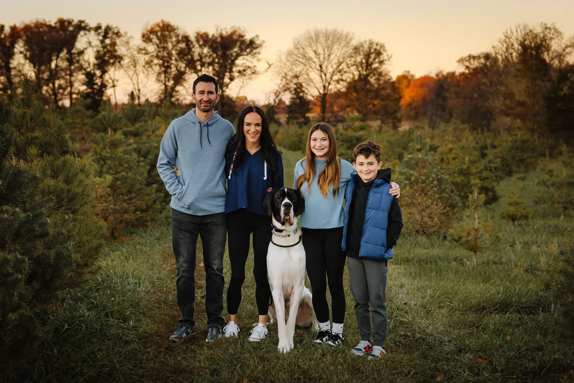 tree-farm-stl-3.jpeg