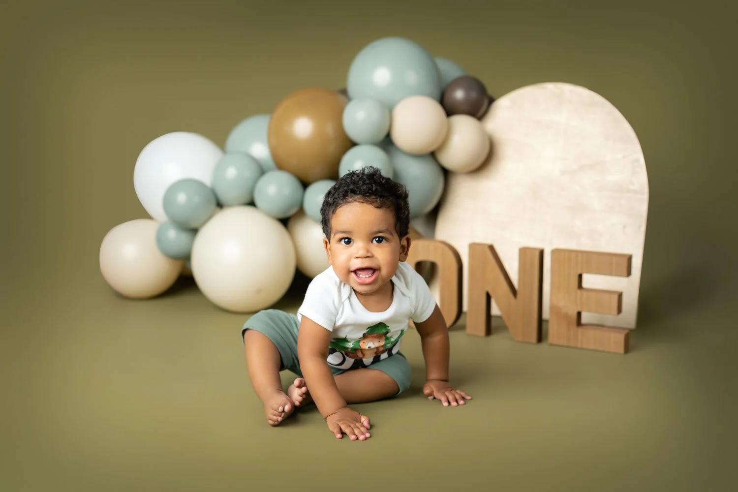 st-louis-first-birthday-photography-67.jpg