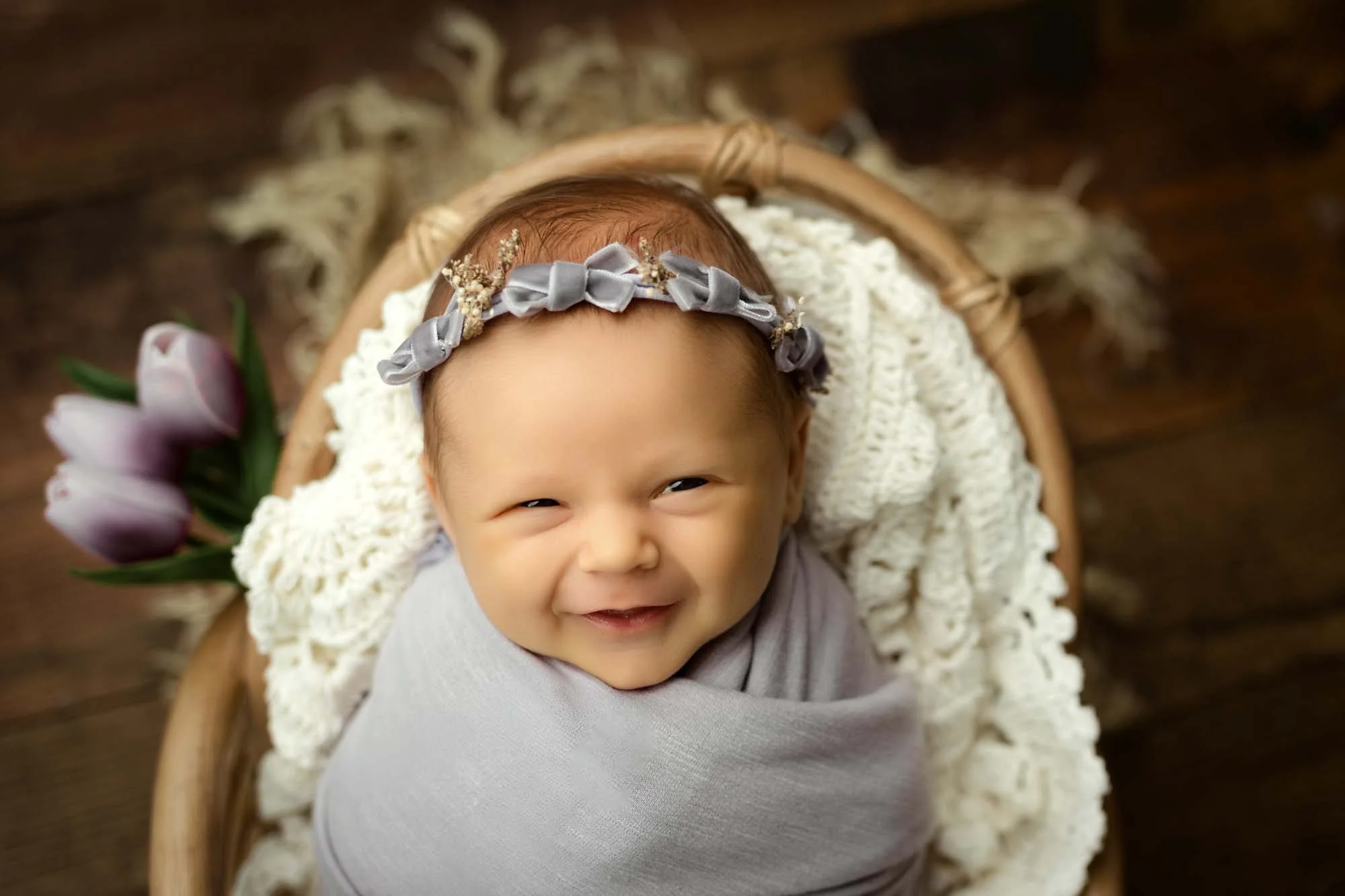 st louis newborn photographer