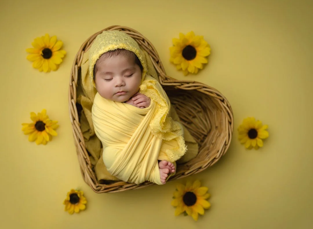 st louis newborn photographer