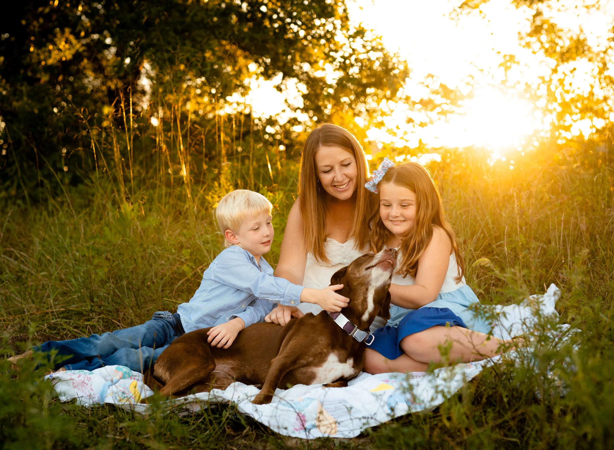 st louis family photographer