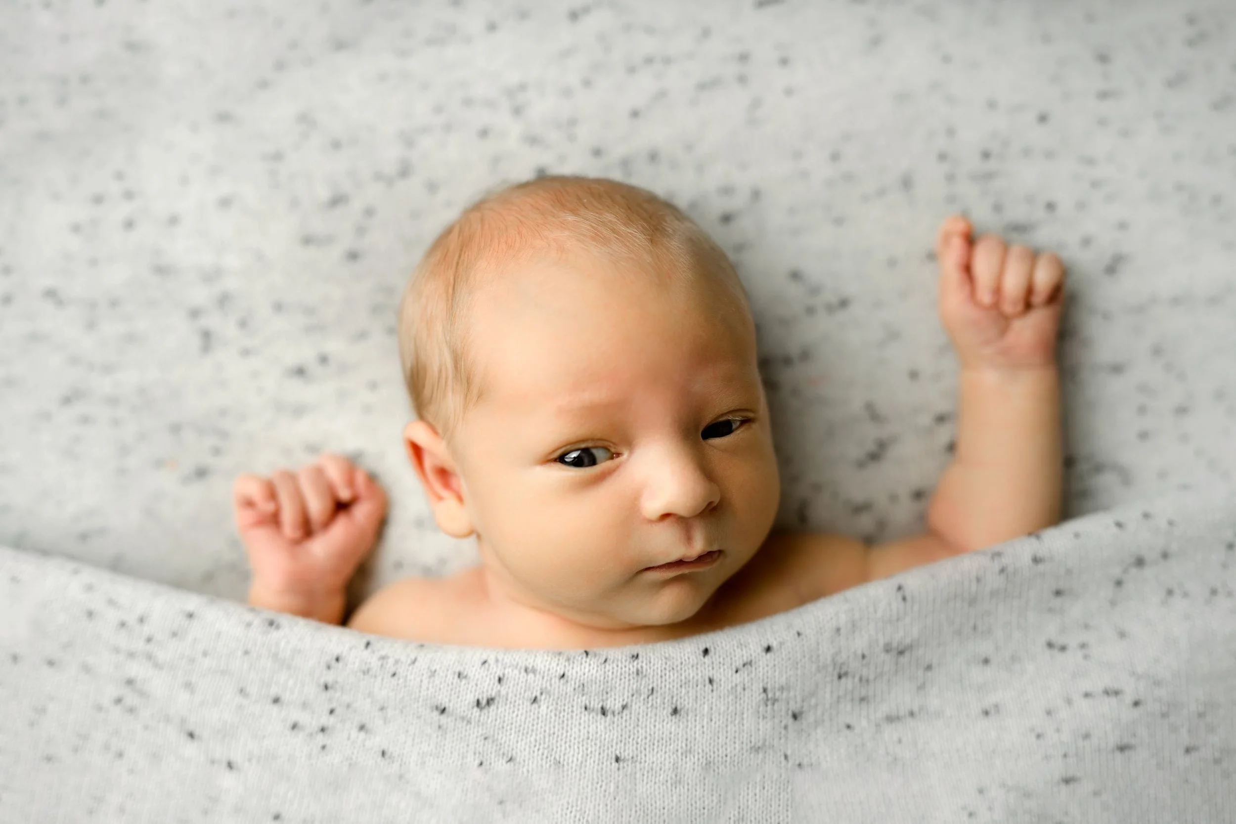 st-louis-newborn-photographer-79.jpeg