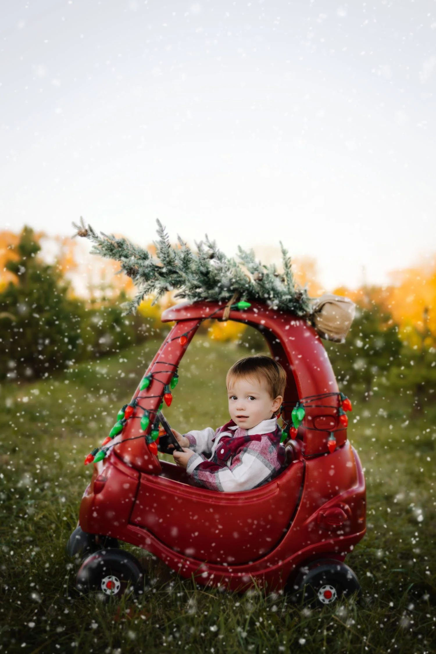 Christmas Tree Farm Sessions