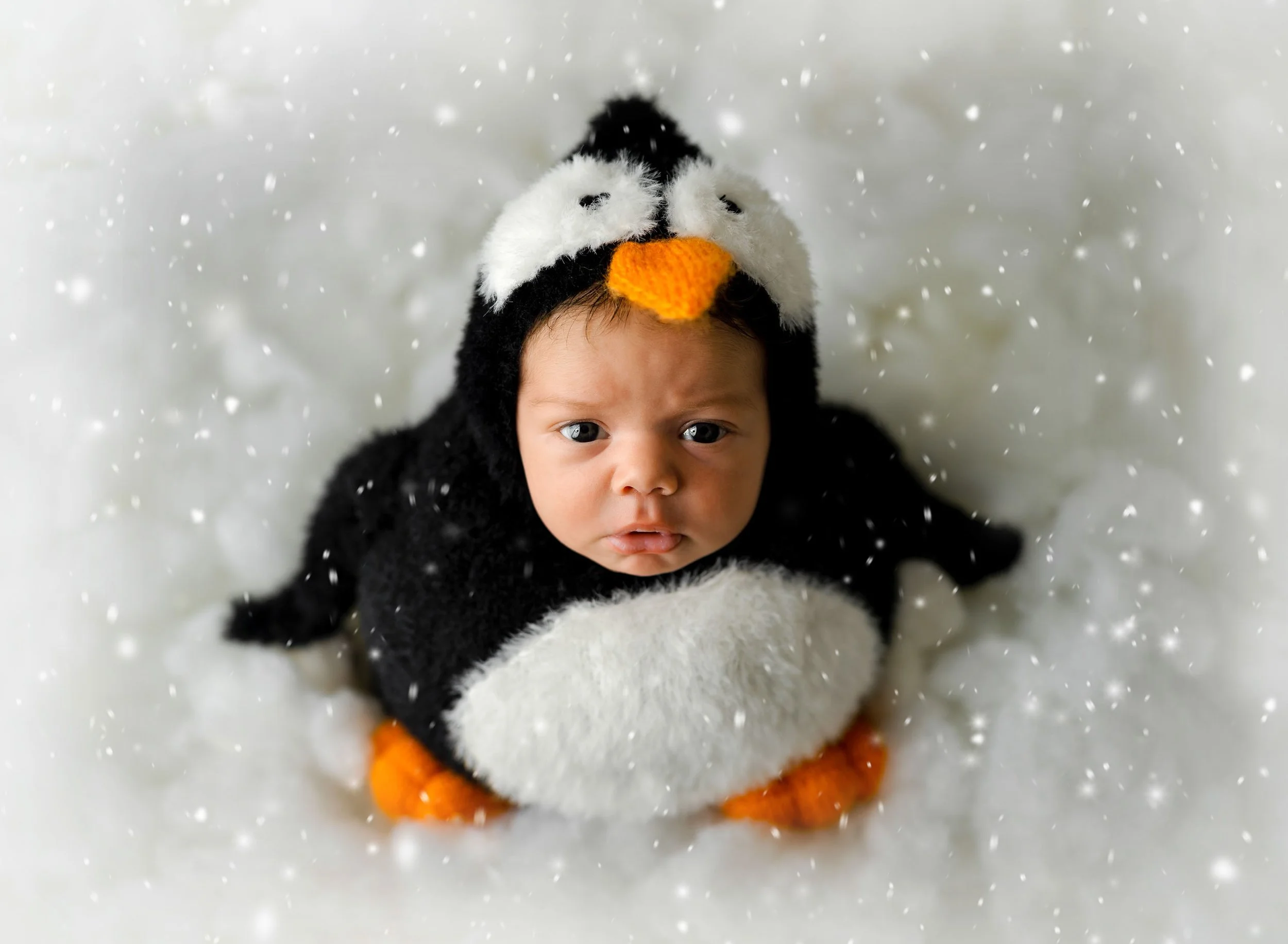 st-louis-holiday-newborn-sessions-009.jpeg