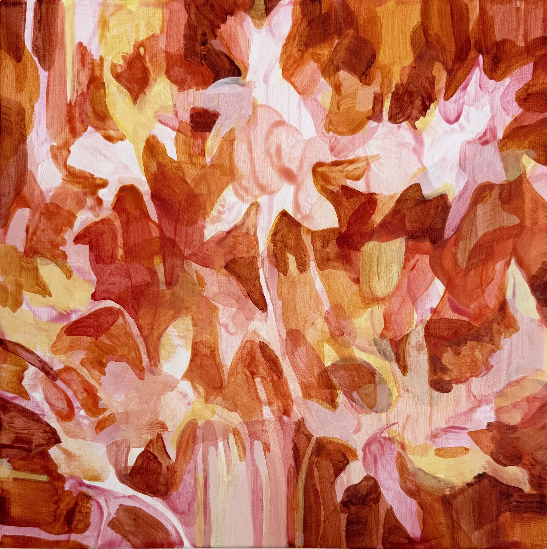 Amanda Mears|Plant Portrait - Daffodils|2025|Acrylic on Canvas|12x12 Inches