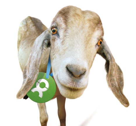 Screenshot 2023-08-22 at 1.25.52 pm.png