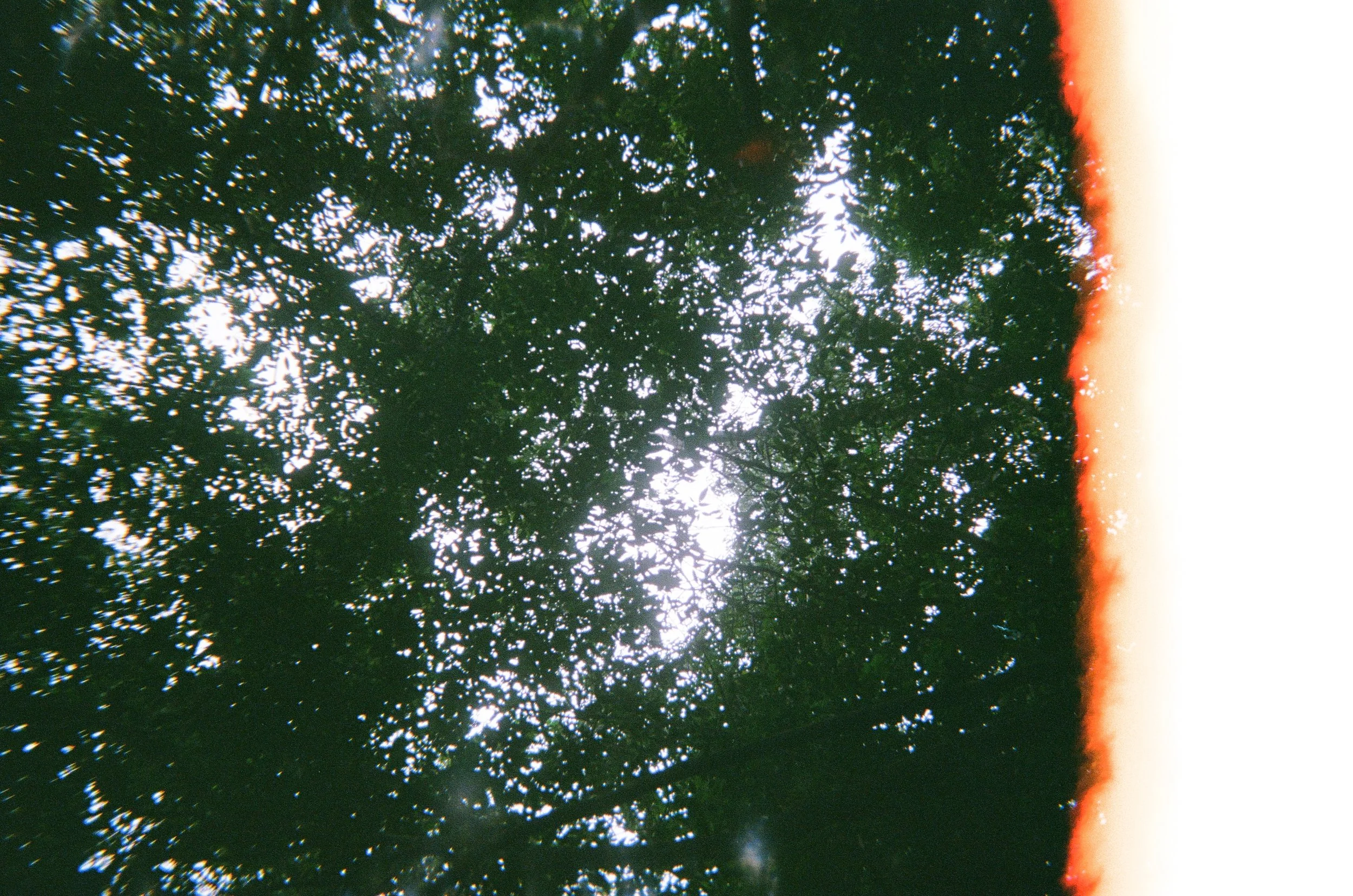 A19ED800-DF0C-4513-A154-5AB204E540B8.jpeg