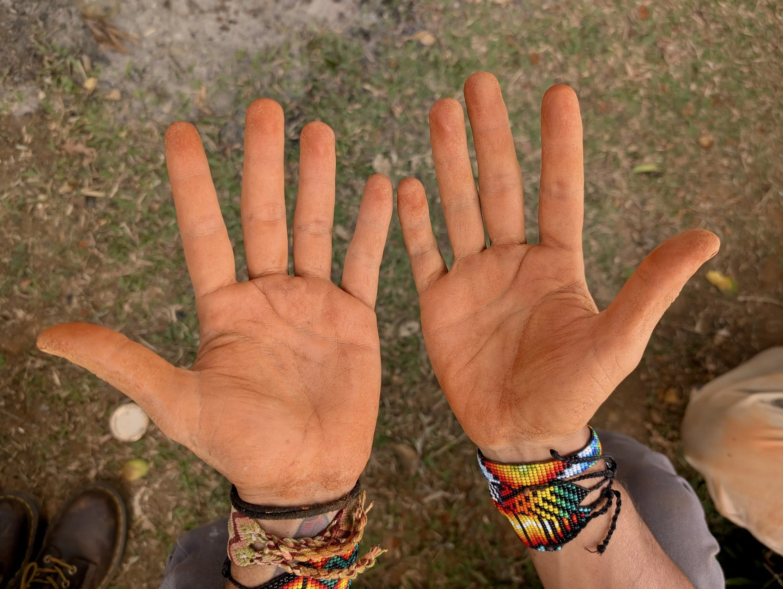 233864F5-AFBB-4B39-B346-790CF48ED1FF_1_201_a.jpeg