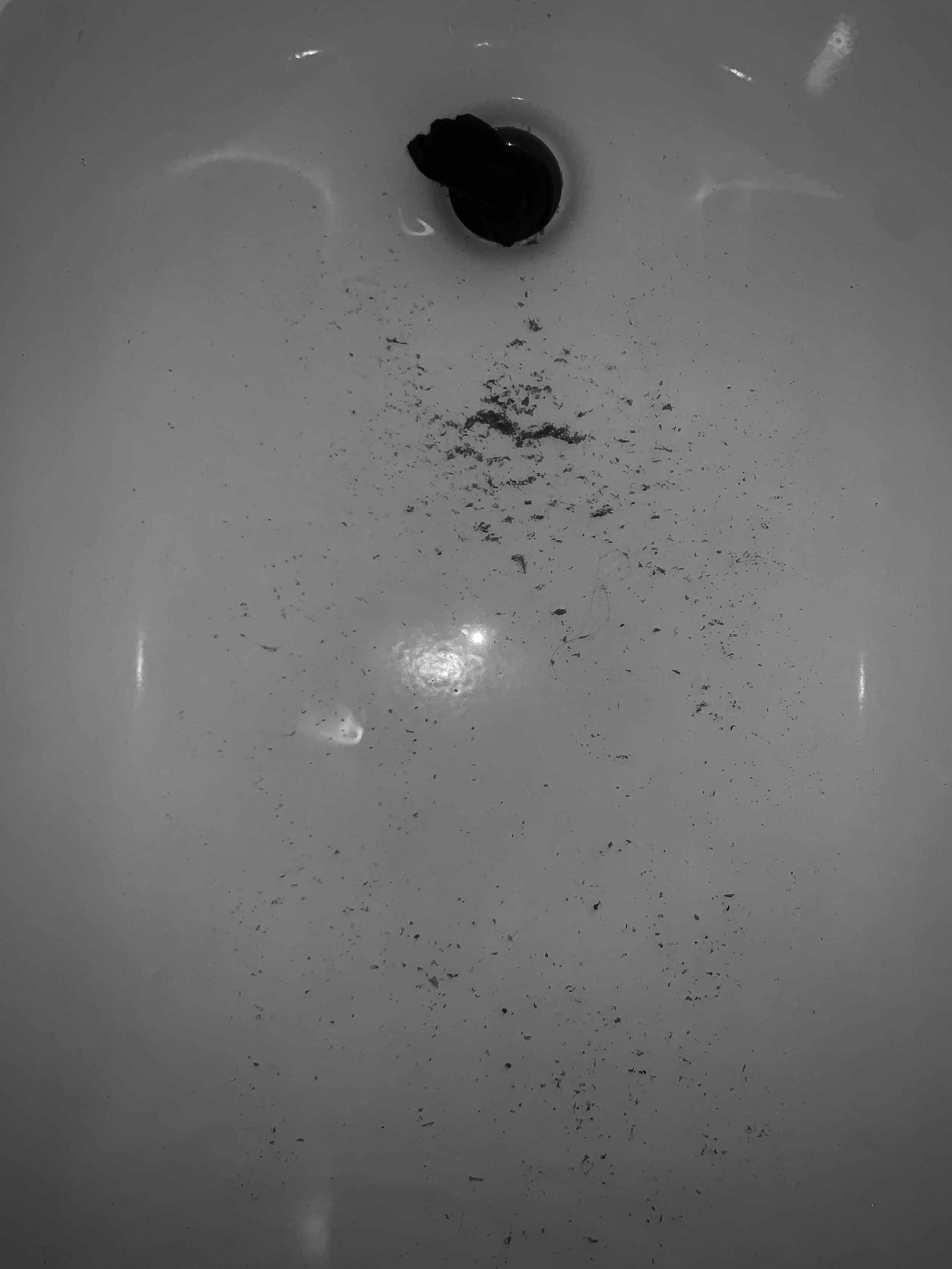 05EE902F-9482-4998-8920-410A644BA3F9.jpeg